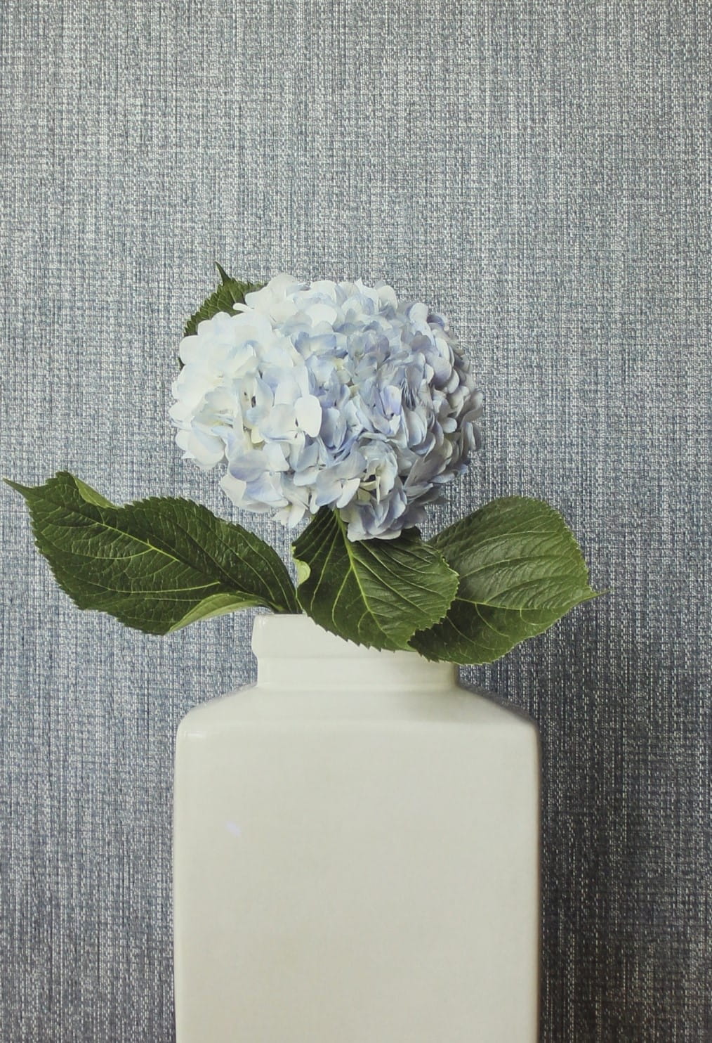 Tapeta Thibaut T3994 Artessa Weave Surface Resource