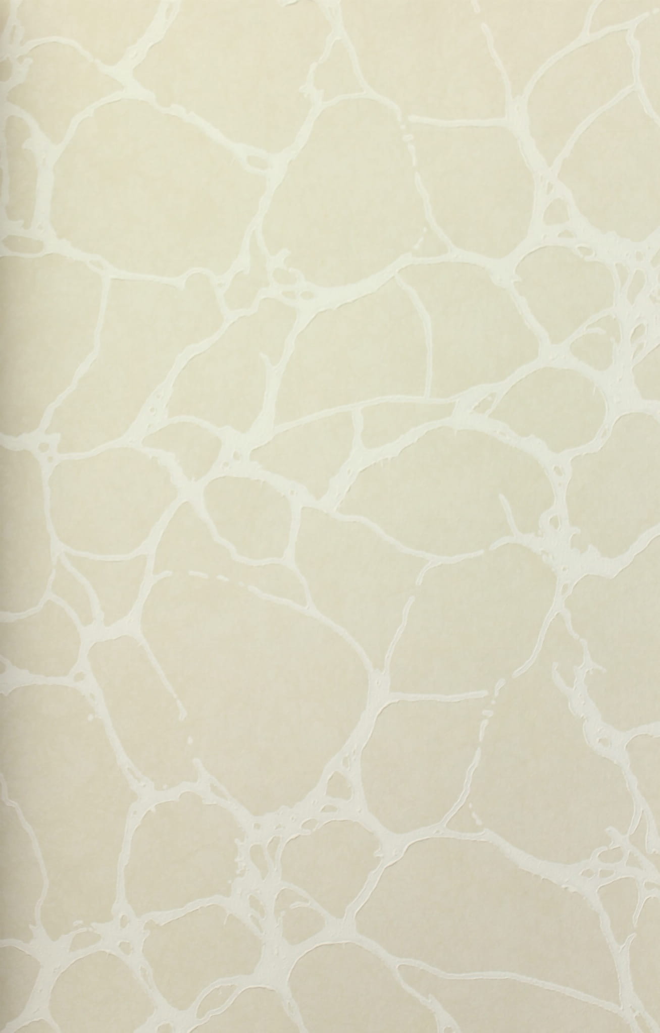 Tapeta Thibaut T4014 Amato Surface Resource