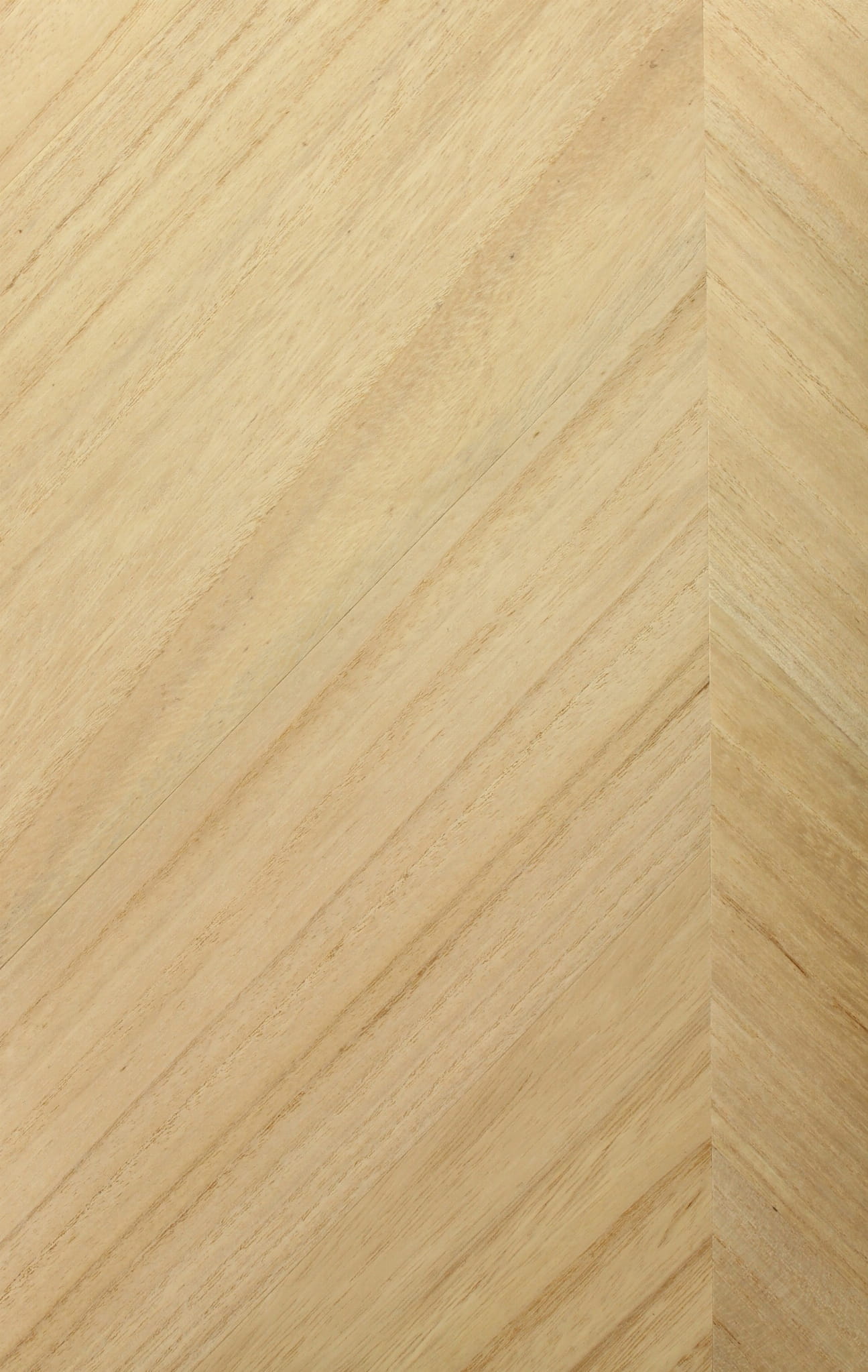Tapeta Thibaut T4021 Inyo Wood Surface Resource
