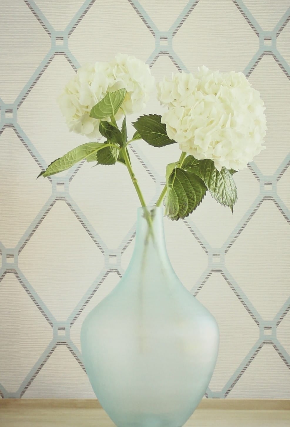 Tapeta Thibaut T4048 Easom Trellis Surface Resource