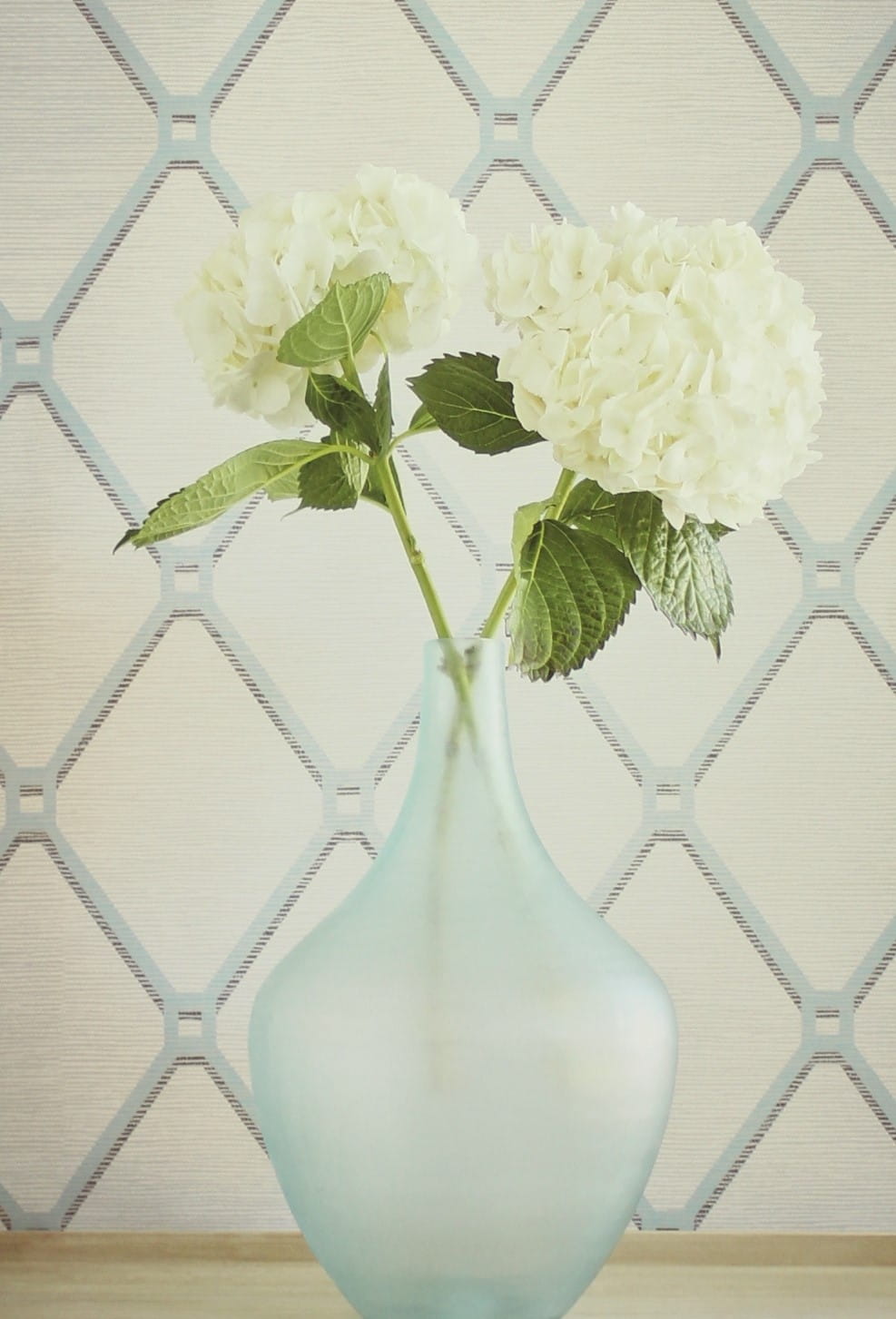 Tapeta Thibaut T4053 Easom Trellis Surface Resource