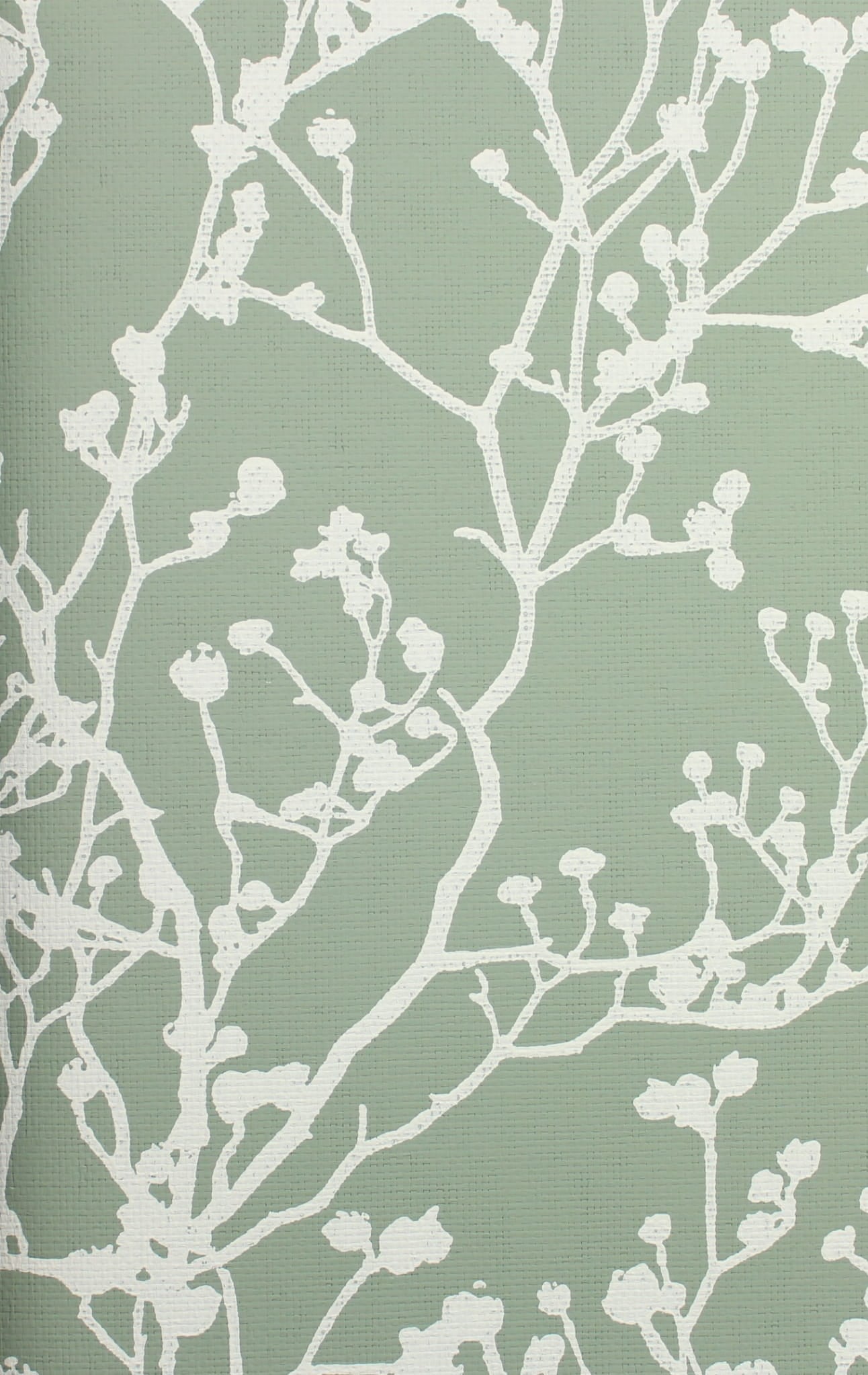 Tapeta botaniczna York Wallcoverings HC7519 Budding Branch Silhouette Handcrafted Naturals