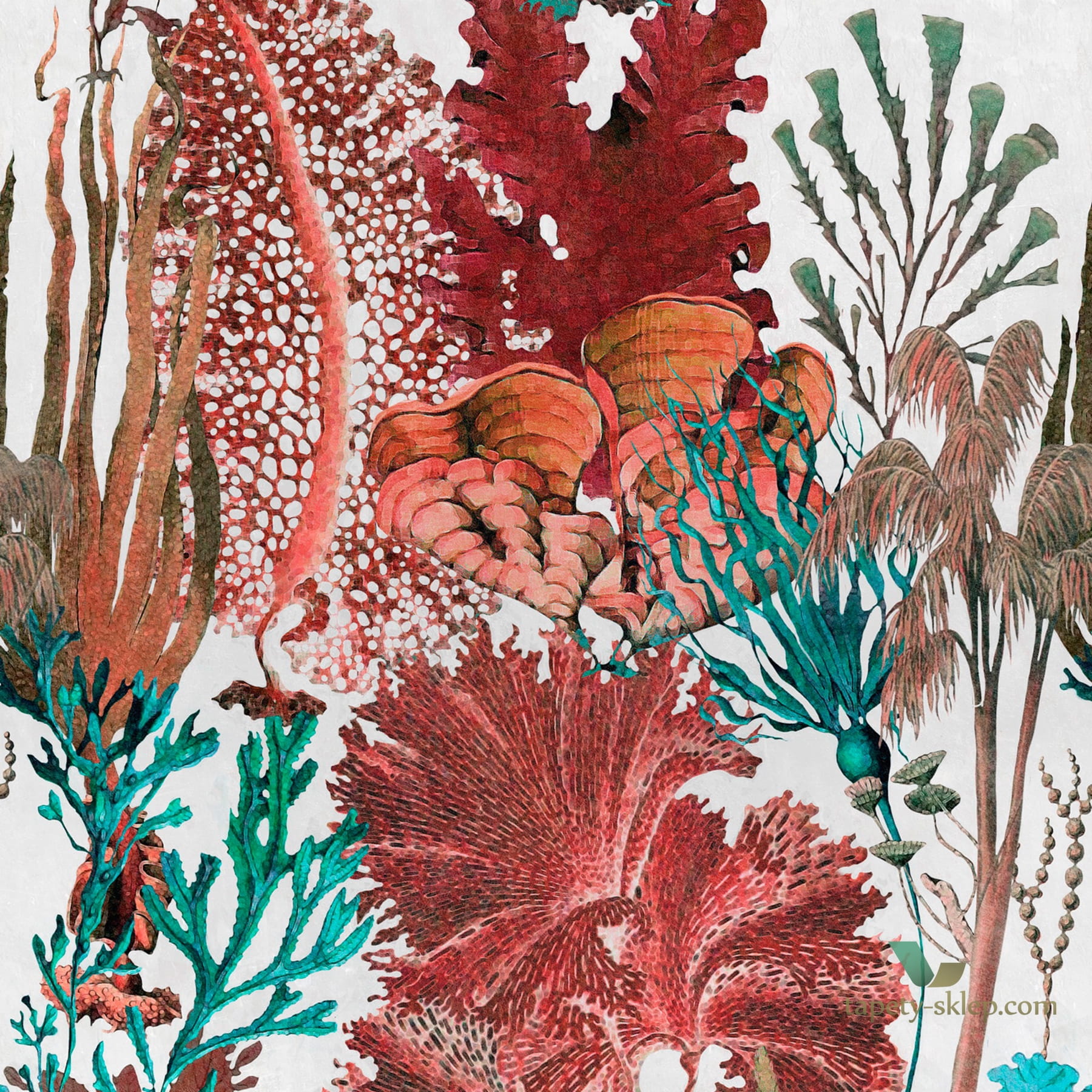 Tapeta Mind the Gap WP20299 Coral Reef