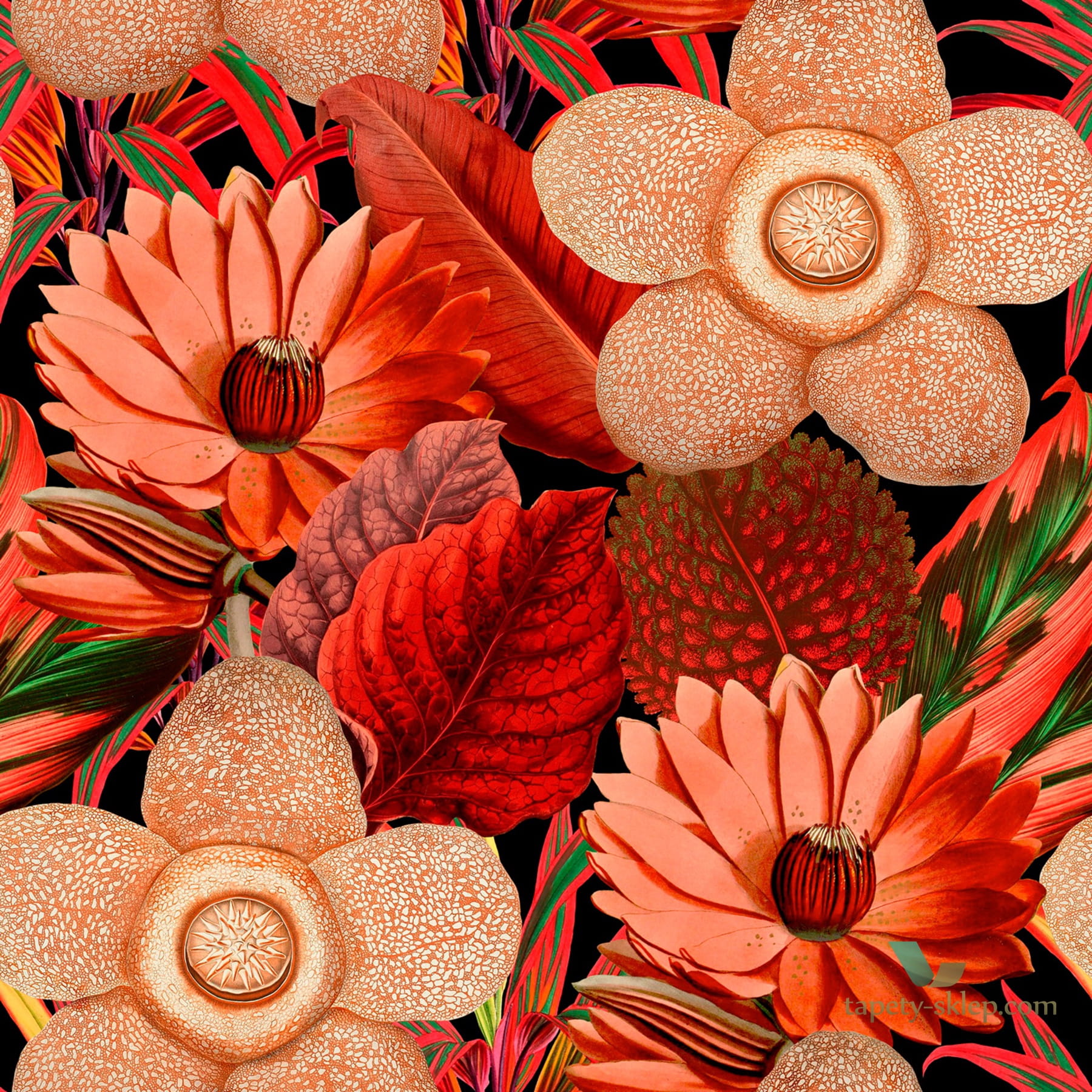 Tapeta Mind the Gap WP20316 Water Lilies