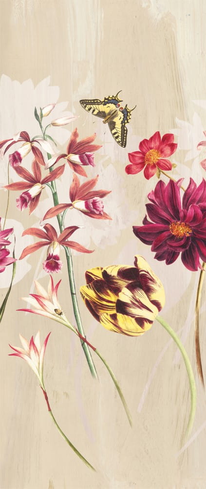 Mural kwiaty Khroma DG2ELI1011 Elise Blush Wall Designs II