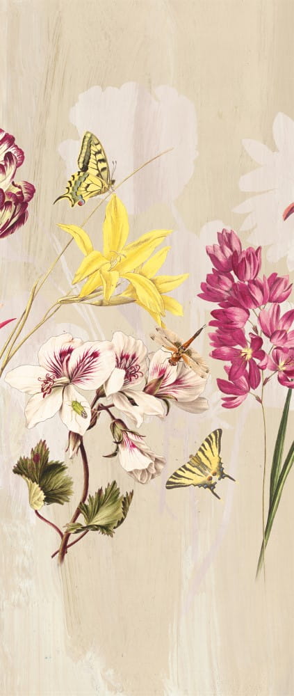 Mural kwiaty Khroma DG2ELI1013 Elise Blush Wall Designs II
