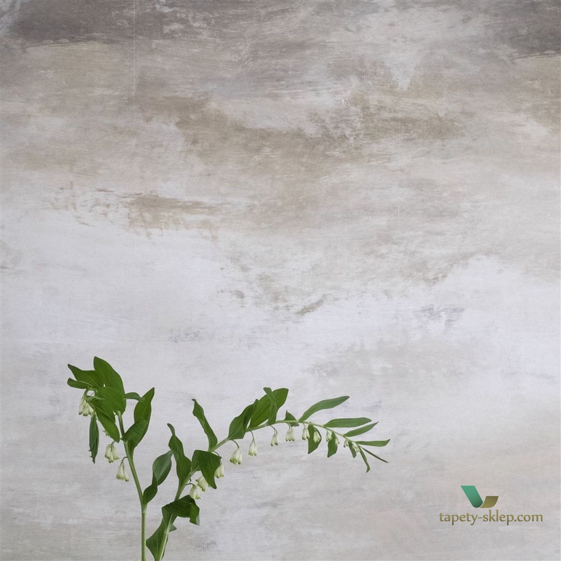 Mural Designers Guild PDG677/02 Cielo