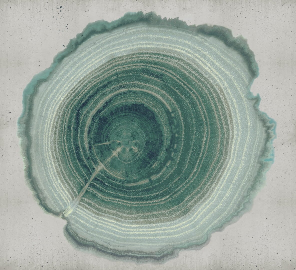 Tapeta Wall&Deco WDEE2101 Tree Of Life Contemporary 2021