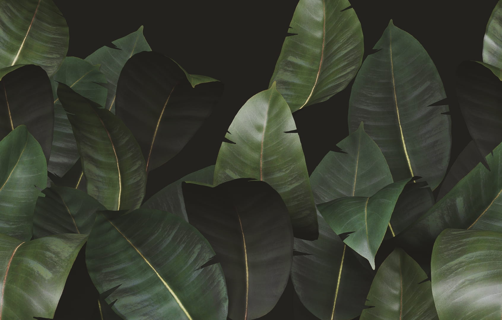 Tapeta Wall&Deco WDZA2102 Zamia Contemporary 2021