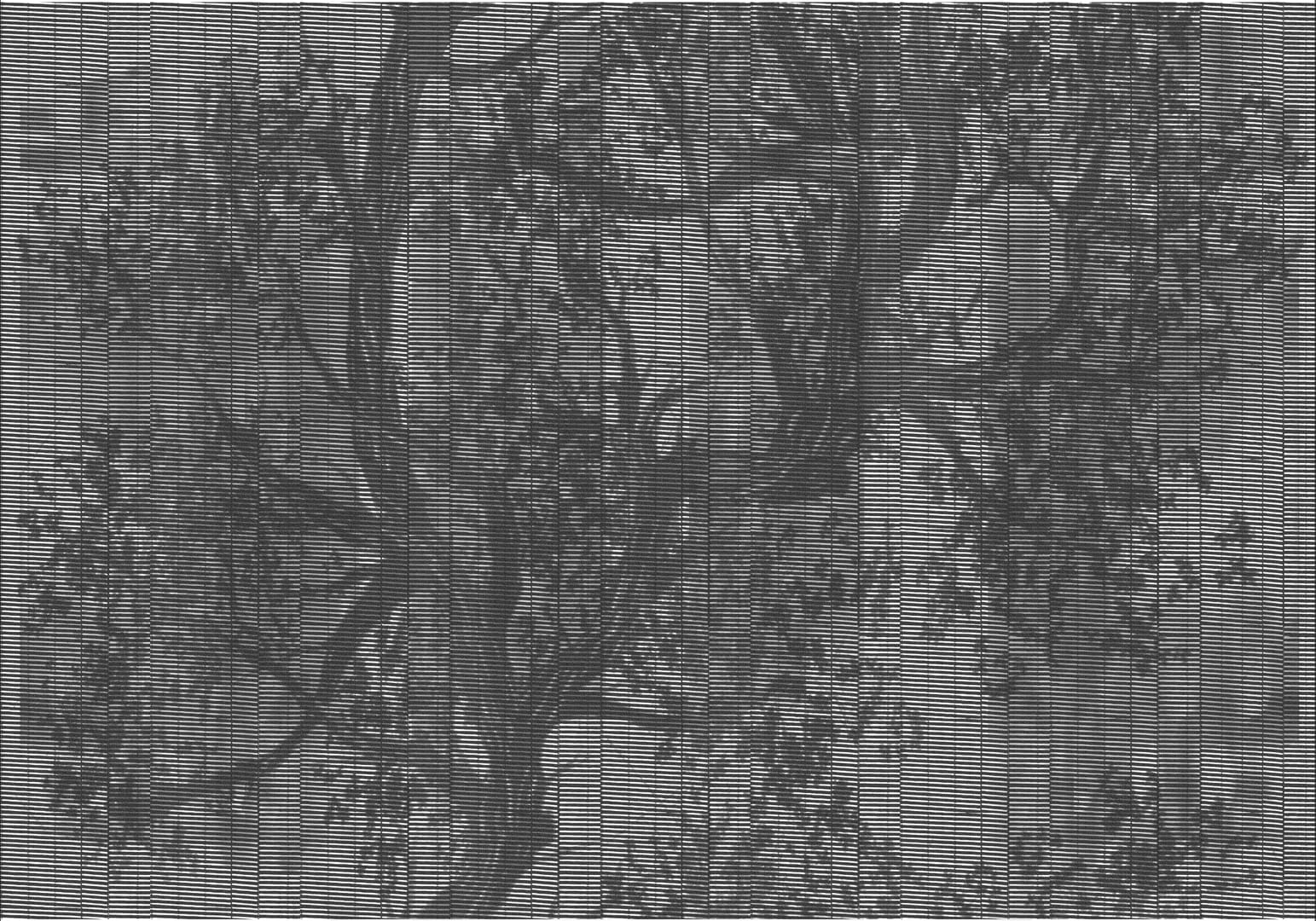 Tapeta na elewacje Wall&Deco OUT_WP1901 Woodpecker