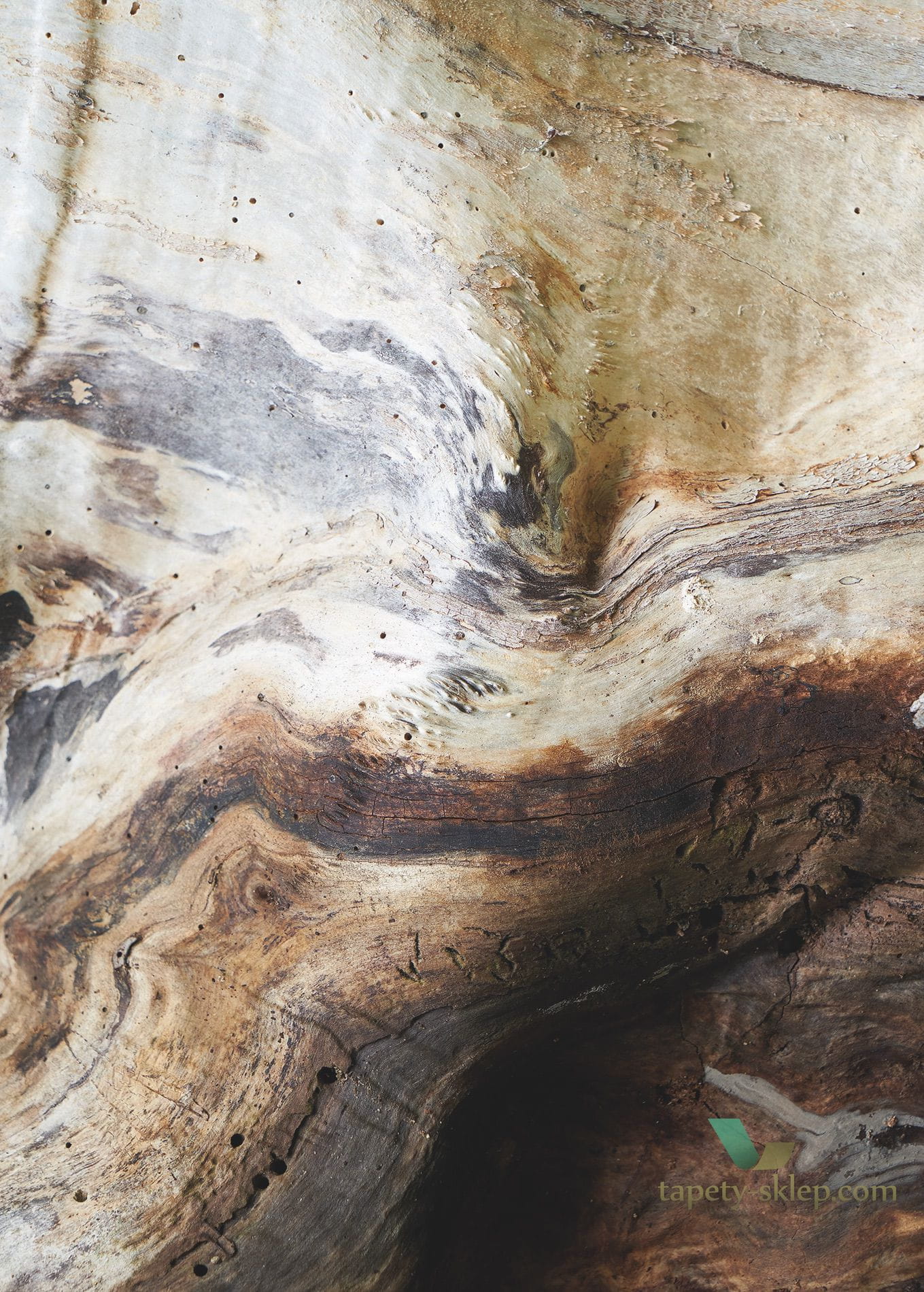 Mural drzewo Casadeco 86151575 Saule Woods