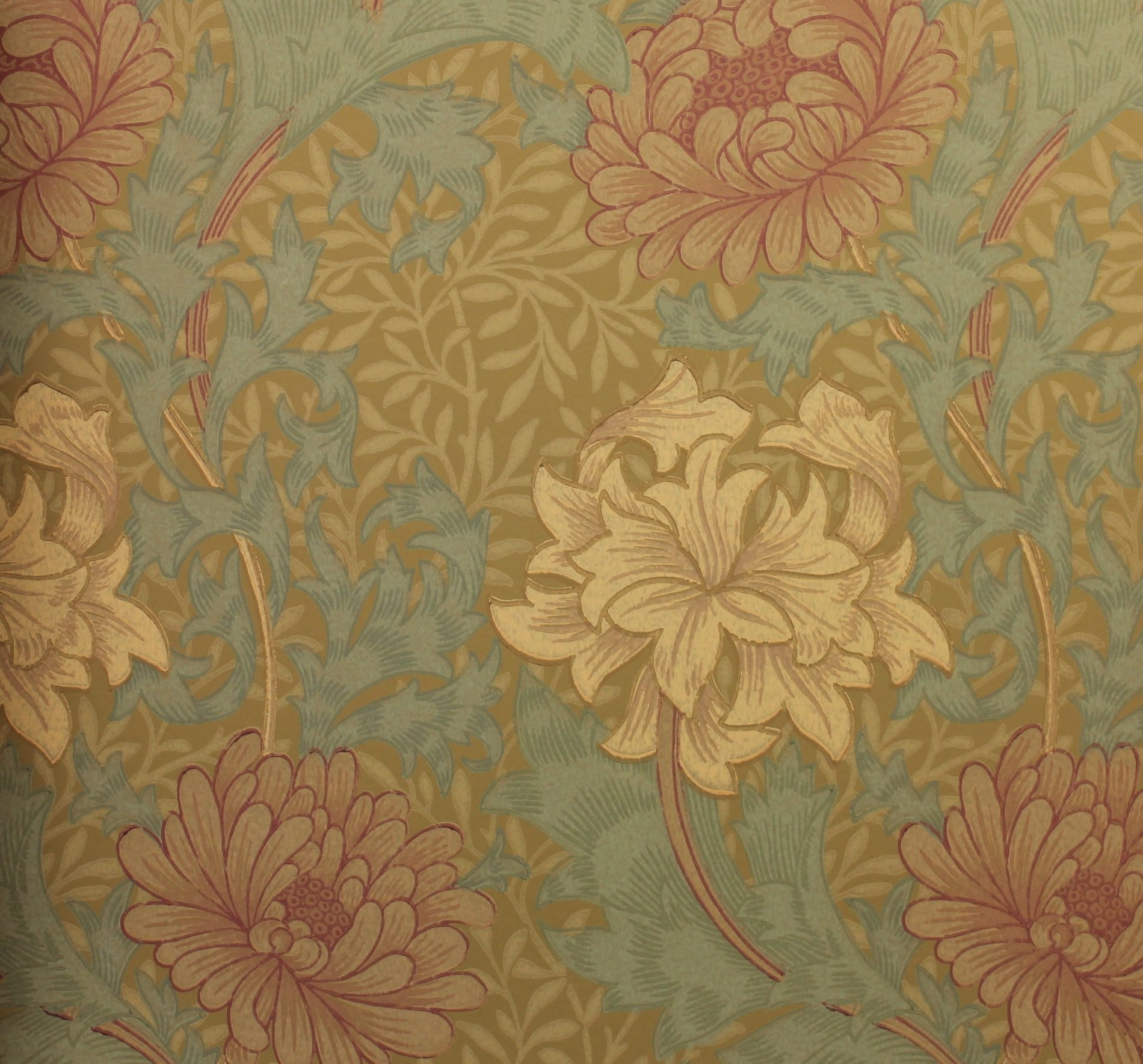 Tapeta Kwiaty i Liście Morris & Co. 216860 Chrysanthemum Compilation