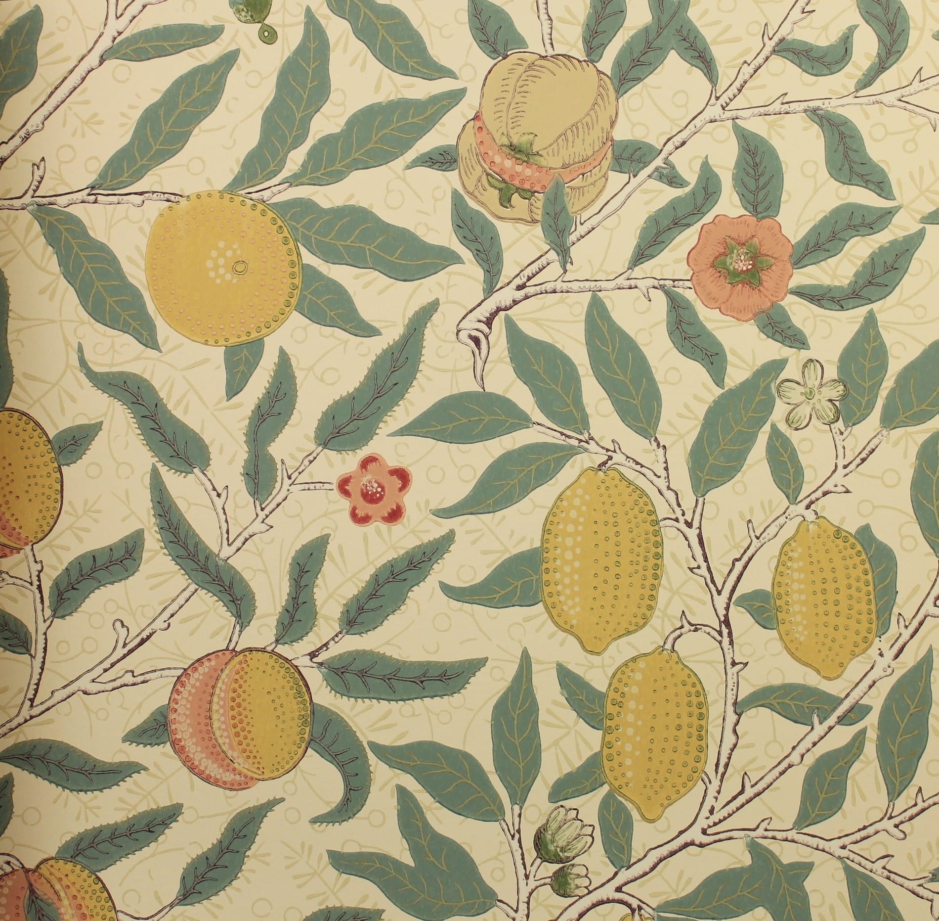 Tapeta Owoce i Liście Morris & Co. 216859 Fruit Compilation