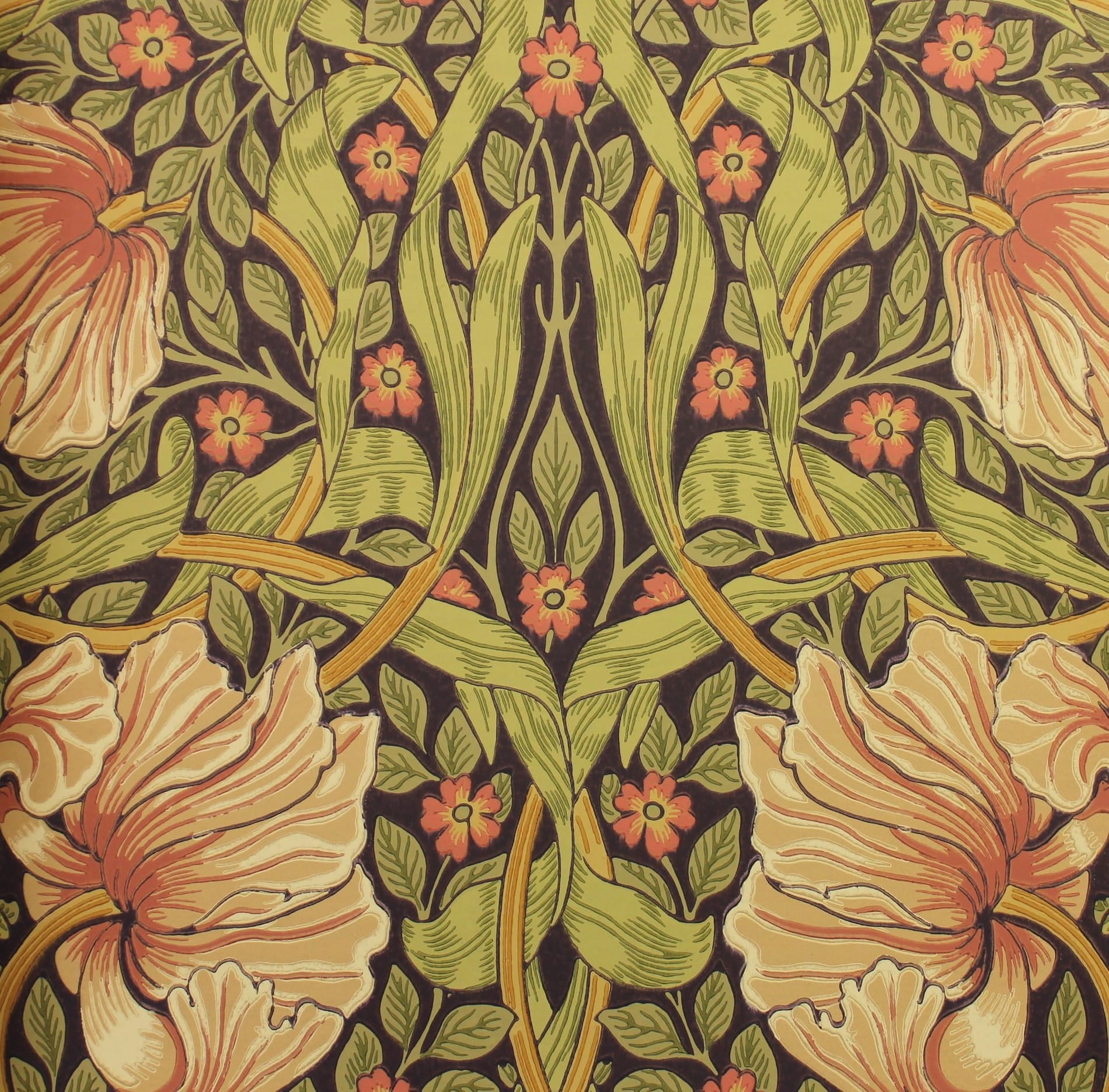 Tapeta Kwiaty i Liście Morris & Co. 216852 Pimpernel Compilation
