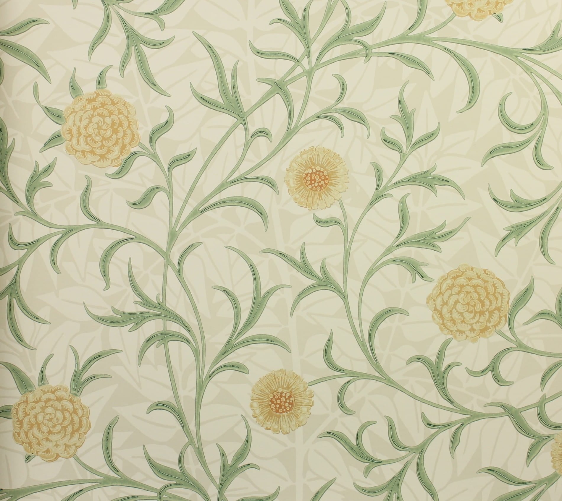 Tapeta Kwiaty Nagietka Morris & Co. 216831 Scroll Compilation 210365