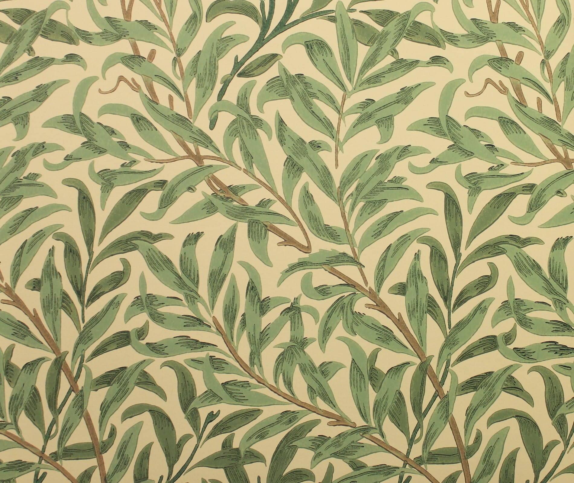 Tapeta Liście Wierzby Morris & Co. 216866 Willow Boughs Compilation