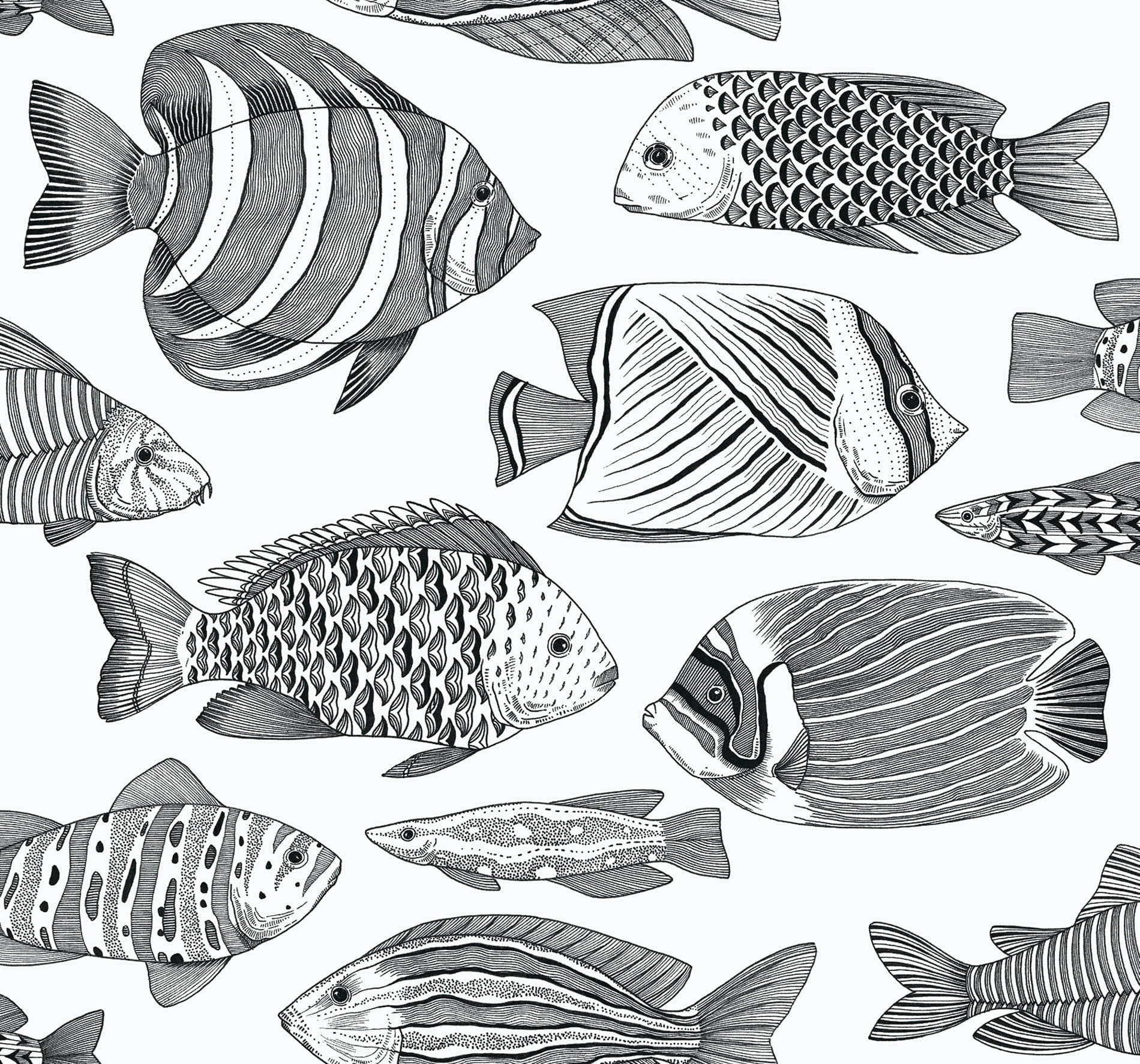 Tapeta z rybami Wallquest EC80200 Wailea Newport