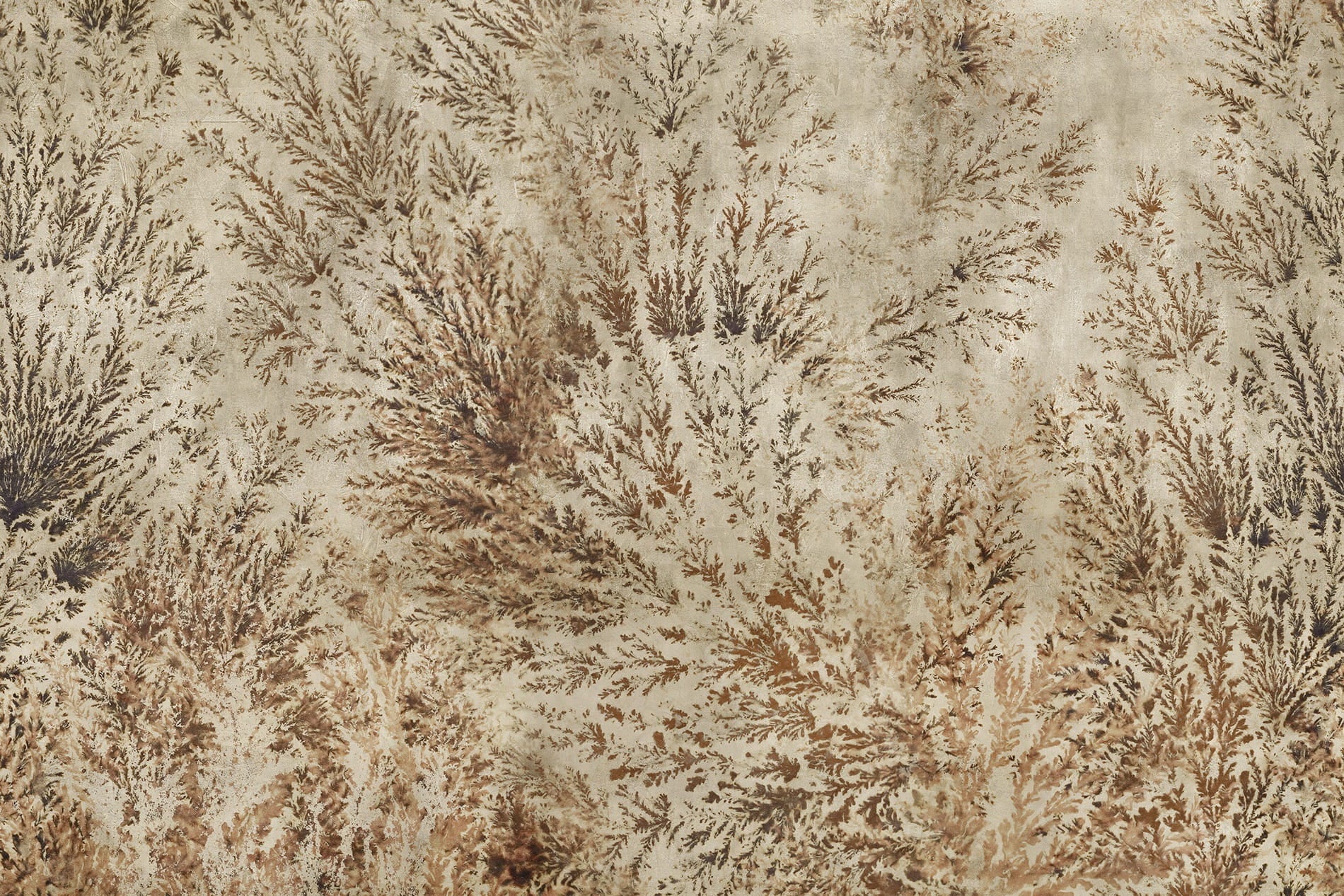 Tapeta z roślinnym wzorem Inkiostro Bianco DENTRITUS INKTOOK2001 Inediti Cruise Collection