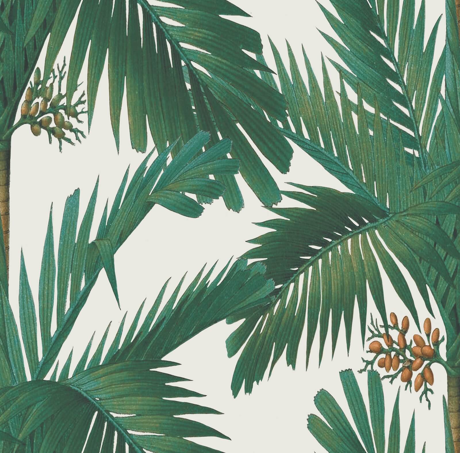 Tapeta w palmy Rebel Walls R17572 Palm Spring Pearl Oddity