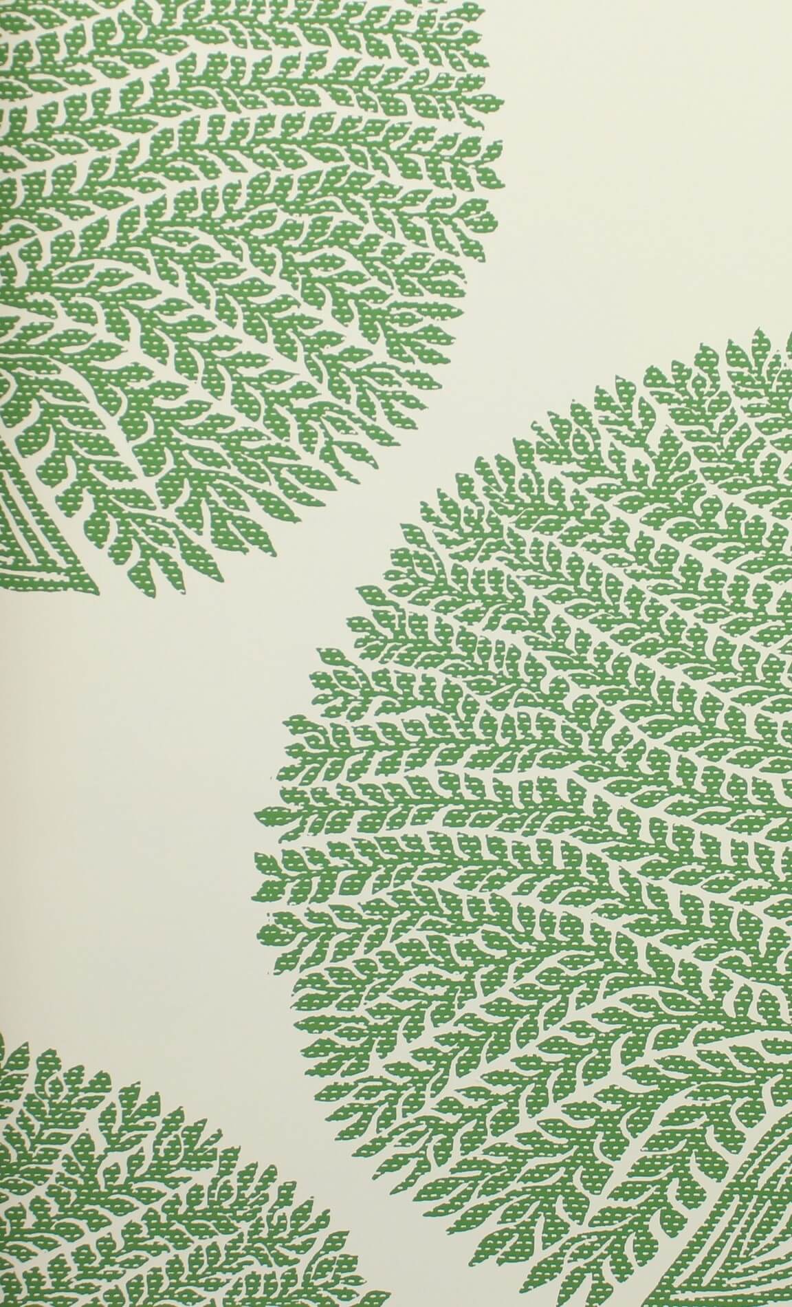 Tapeta w drzewa Thibaut T10604 Mulberry Tree Ceylon