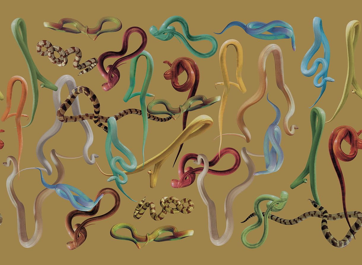 Tapeta Węże London Art 01TP 02 Snakes Storm Luxury Shit Toiletpaper