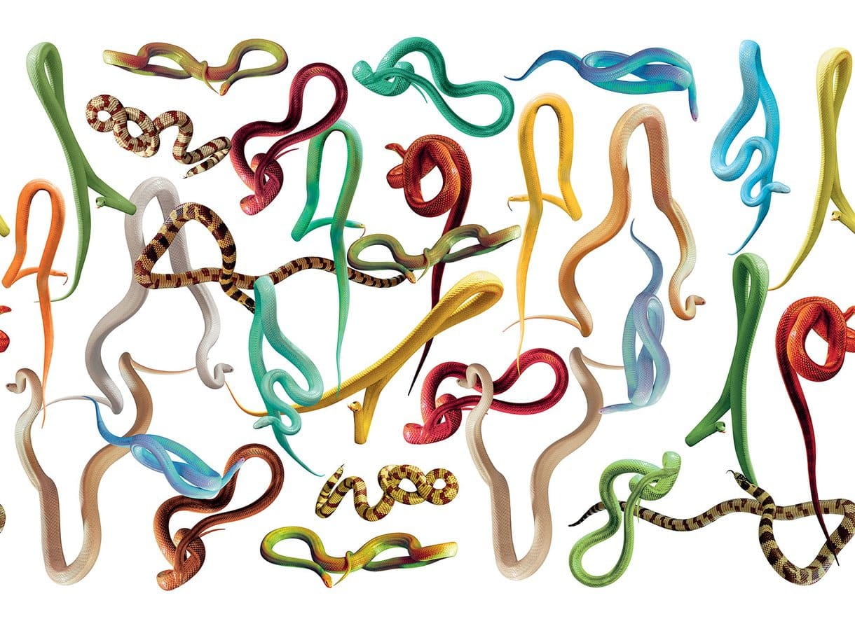 Tapeta Węże London Art 01TP 03 Snakes Storm Luxury Shit Toiletpaper