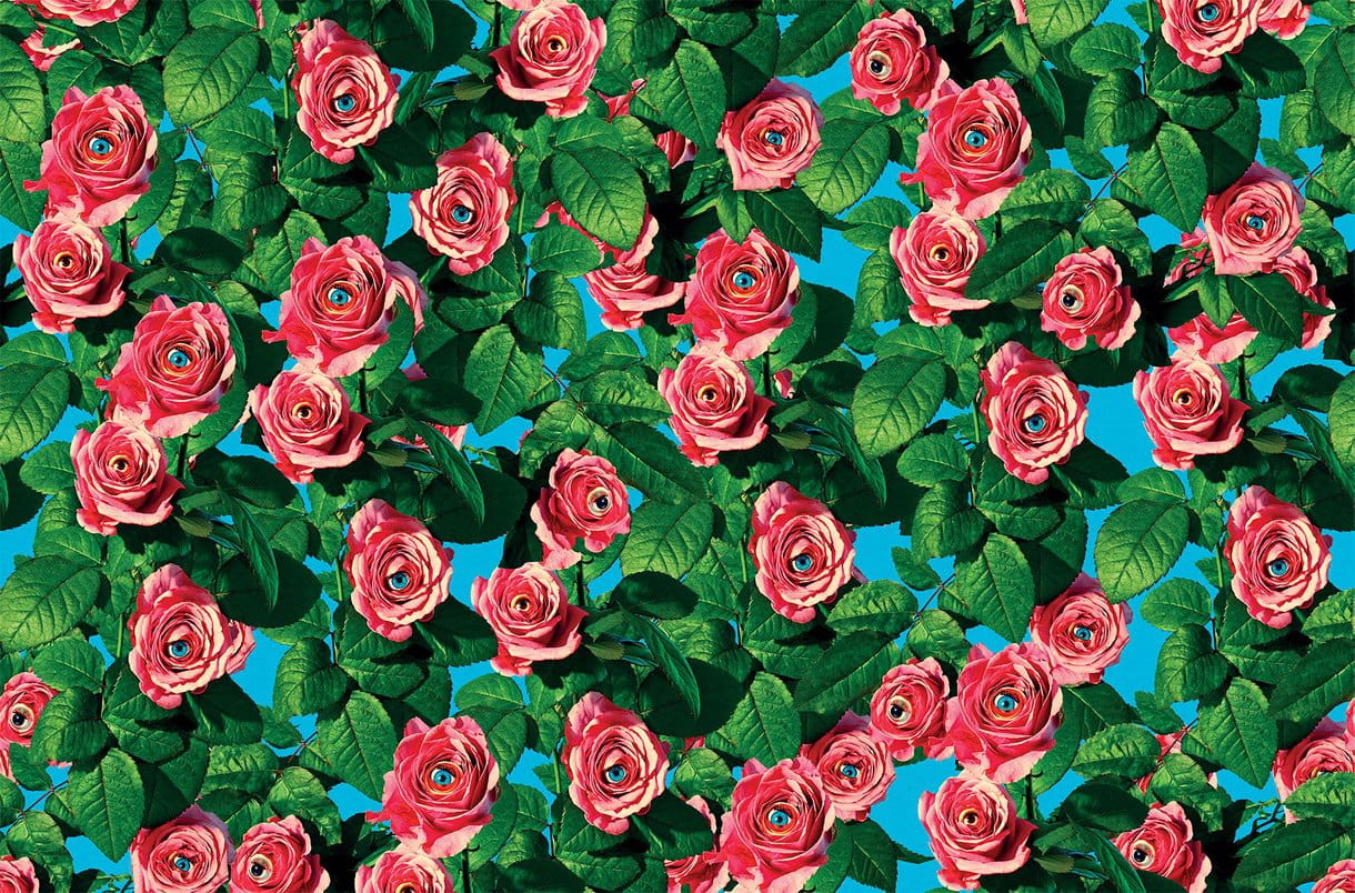 Tapeta Róże London Art 11TP 01 Eyes & Roses Luxury Shit Toiletpaper