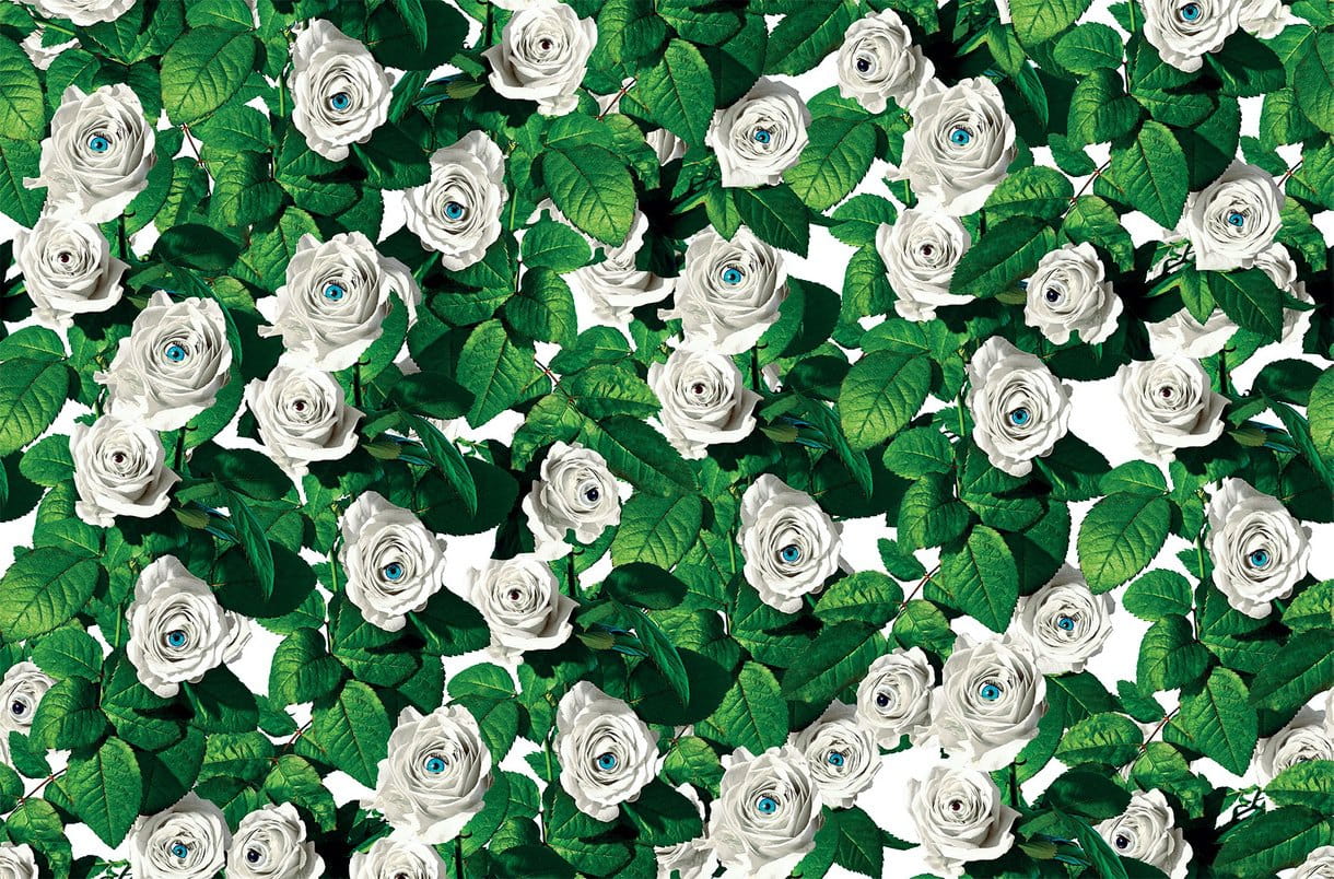 Tapeta Róże London Art 11TP 02 Eyes & Roses Luxury Shit Toiletpaper
