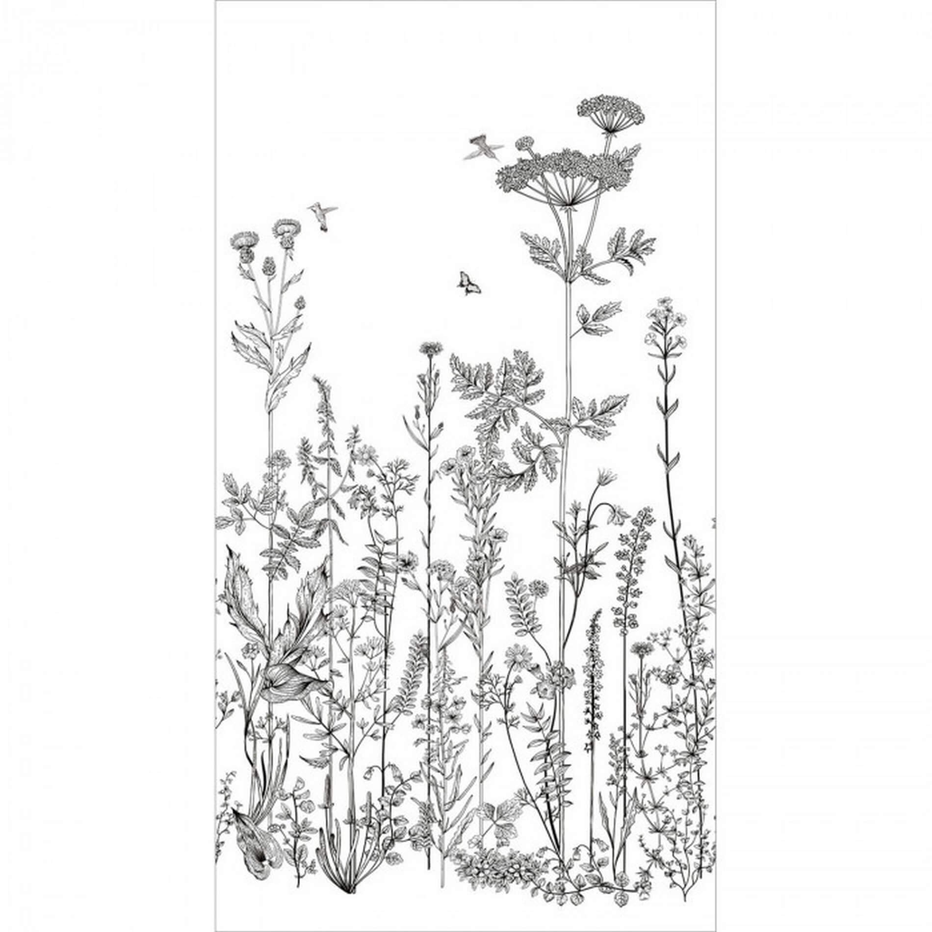 Mural w polną łąkę Caselio BFM 101319104 Wild Flowers Beauty Full Image 2