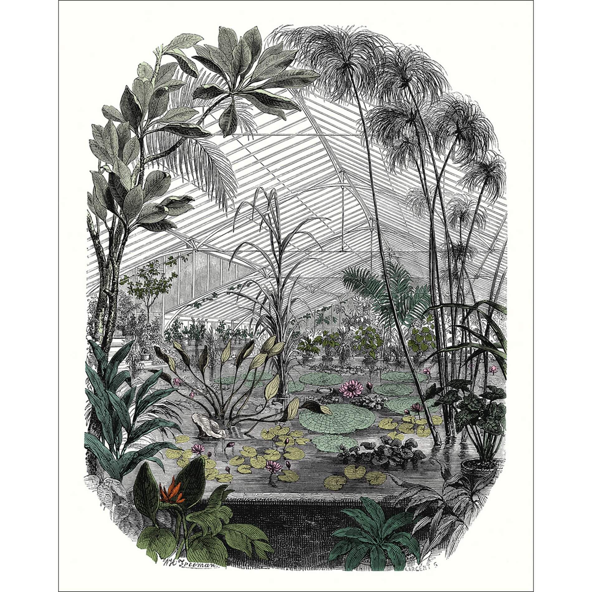 Mural z botanicznym krajobrazem Caselio BFM 102397070 Jardin D'hiver Beauty Full Image 2