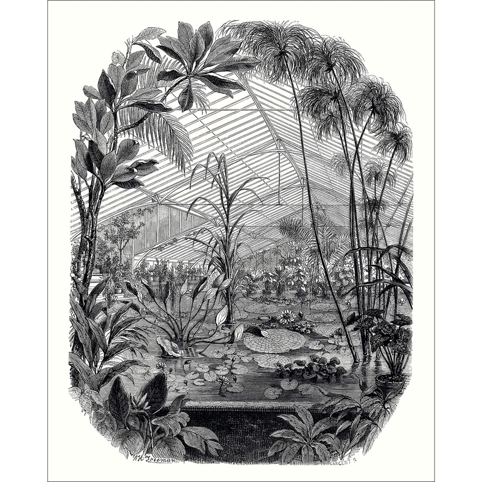 Mural z botanicznym krajobrazem Caselio BFM 102399000 Jardin D'hiver Beauty Full Image 2