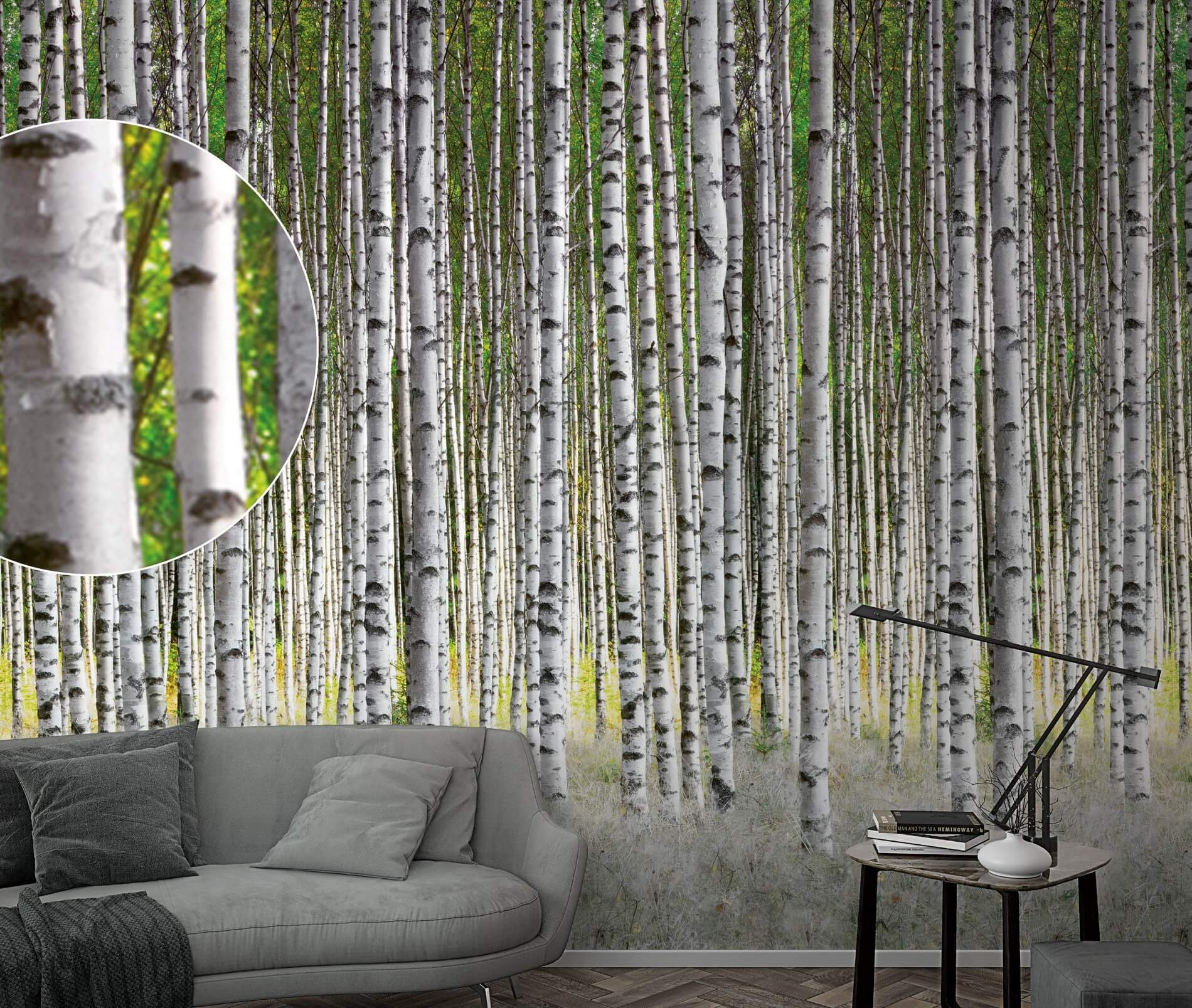 Fototapeta Las Brzozowy Marburg 47220 Smart Art Easy