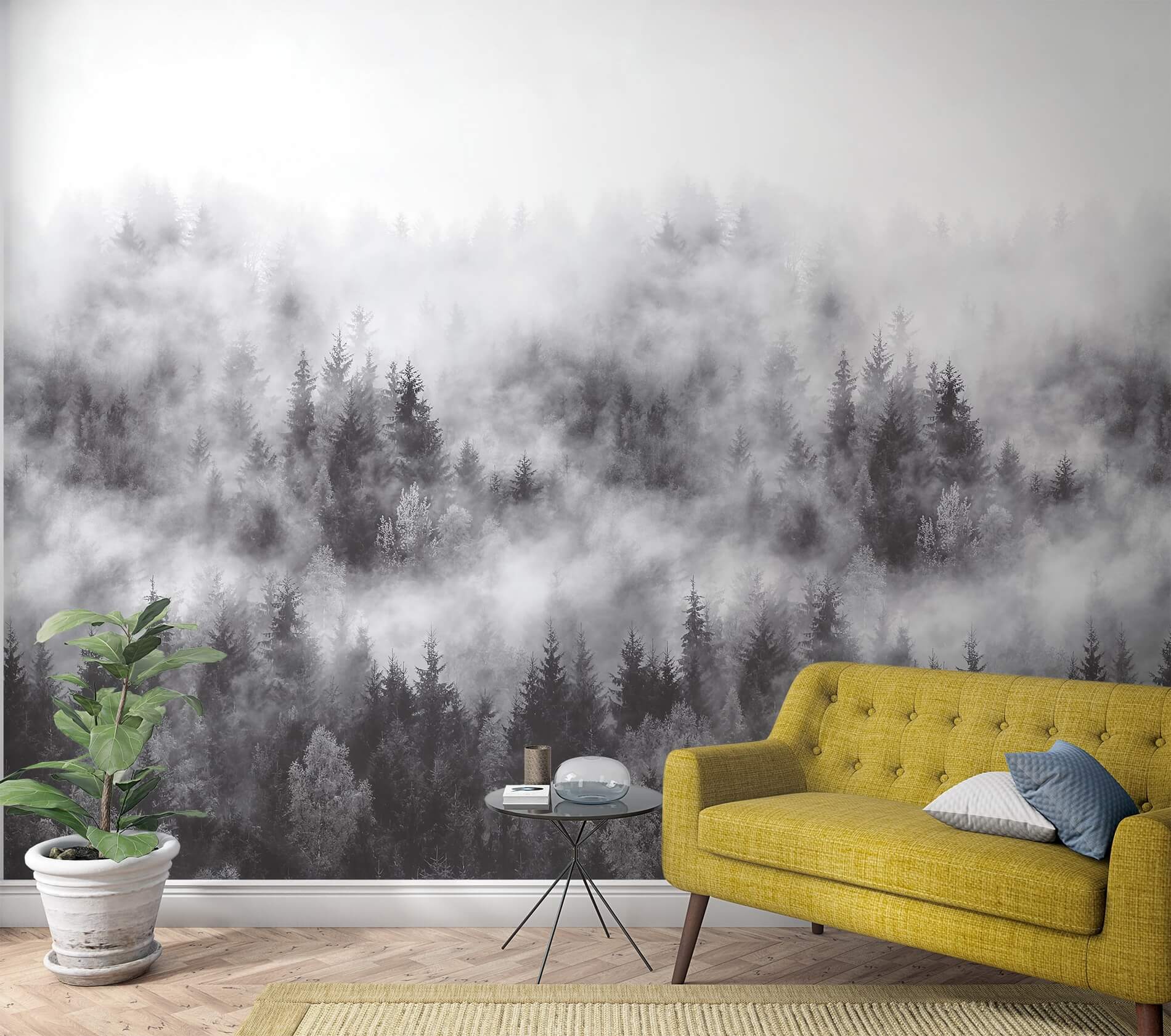 Fototapeta las we mgle Marburg 47268 Smart Art Easy