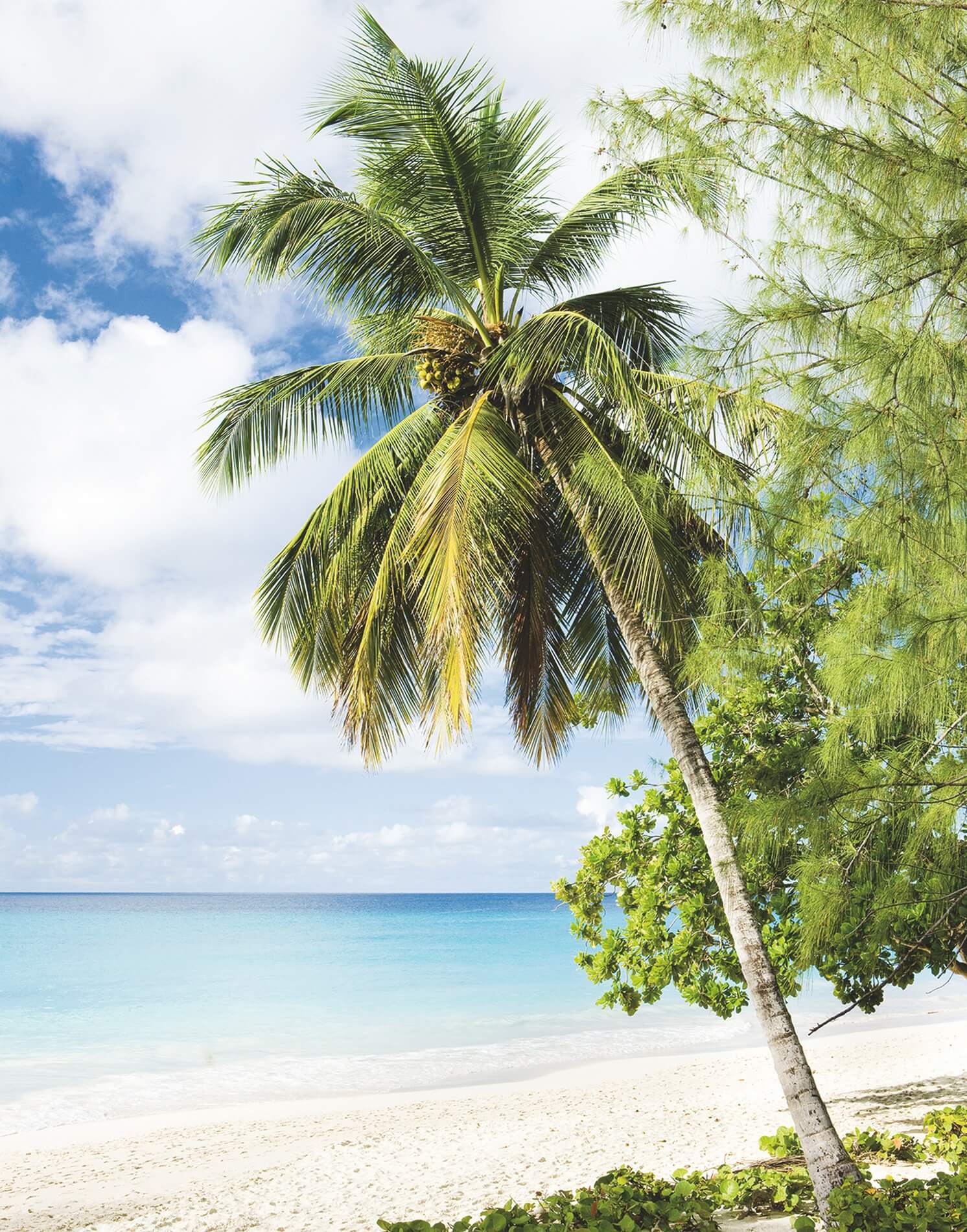 Fototapeta Tropikalna Plaża Marburg 47269 Smart Art Easy