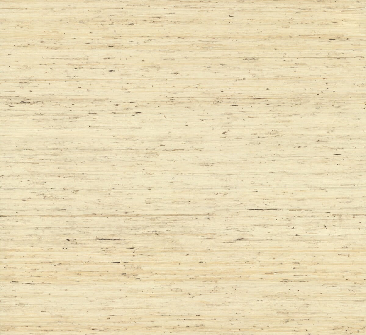 Tapeta Naturalna York CP9345 Arrowroot Water's Edge