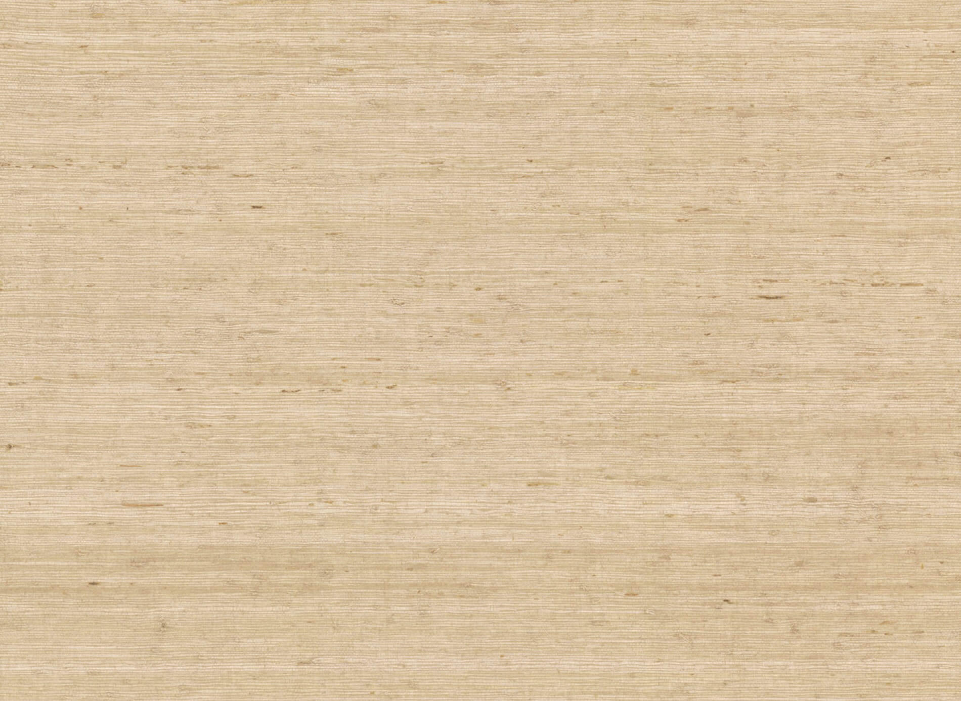 Tapeta Naturalna York CV4401 Arrowroot Water's Edge