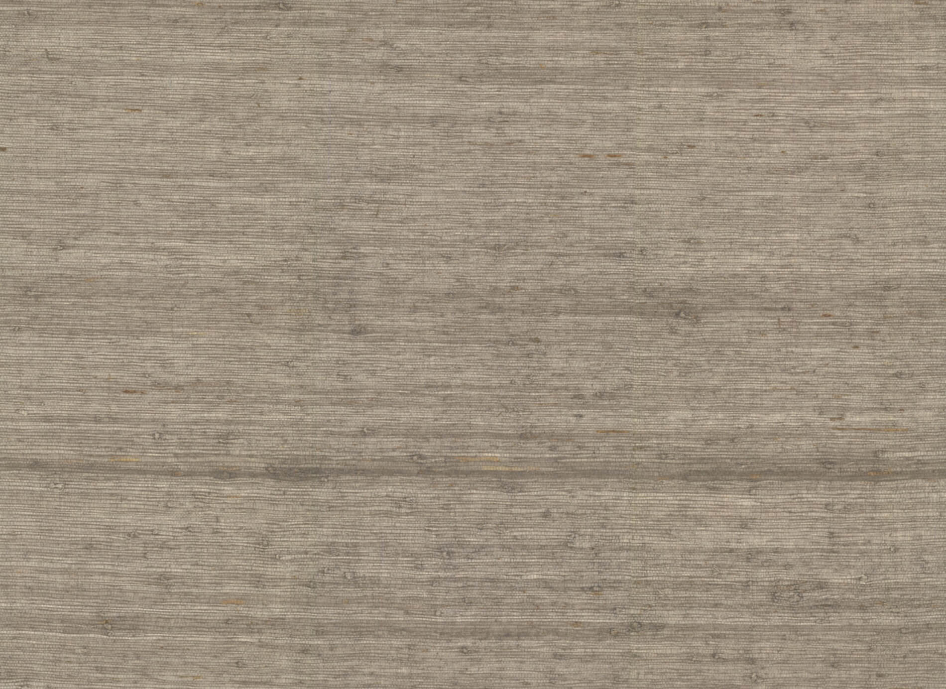 Tapeta Naturalna York CV4403 Arrowroot Water's Edge