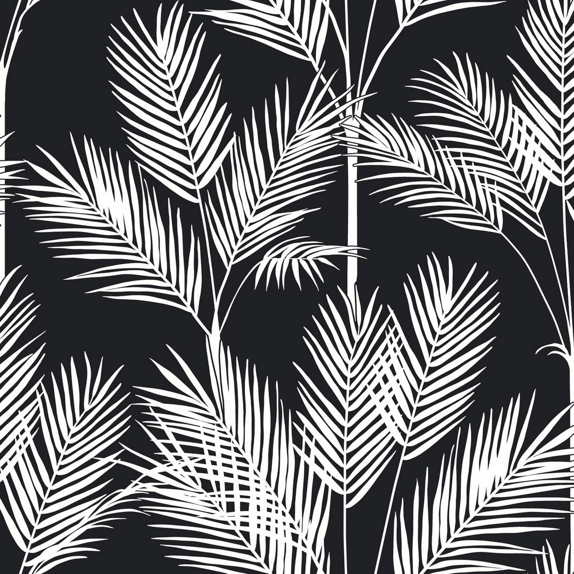 Tapeta Palma York CV4409 King Palm Silhouette Water's Edge