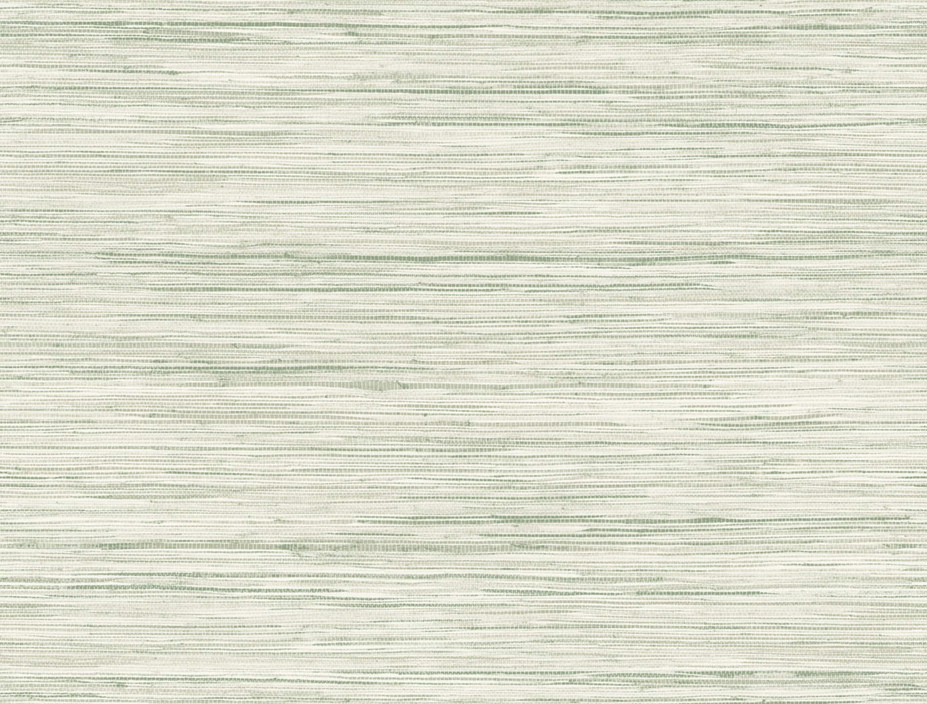 Tapeta York CV4413 Bahiagrass Water's Edge