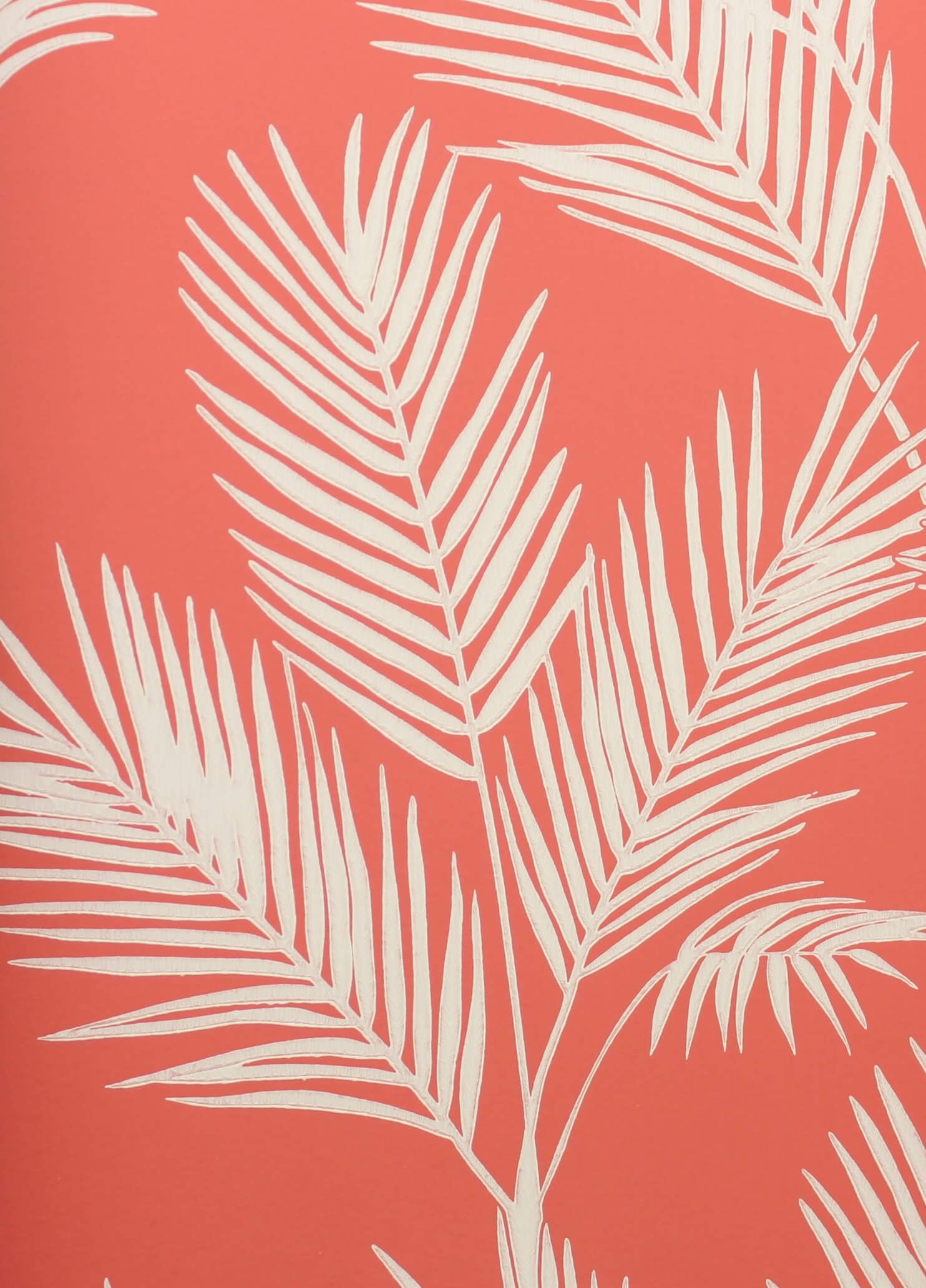 Tapeta Palma York CV4407 King Palm Silhouette Water's Edge
