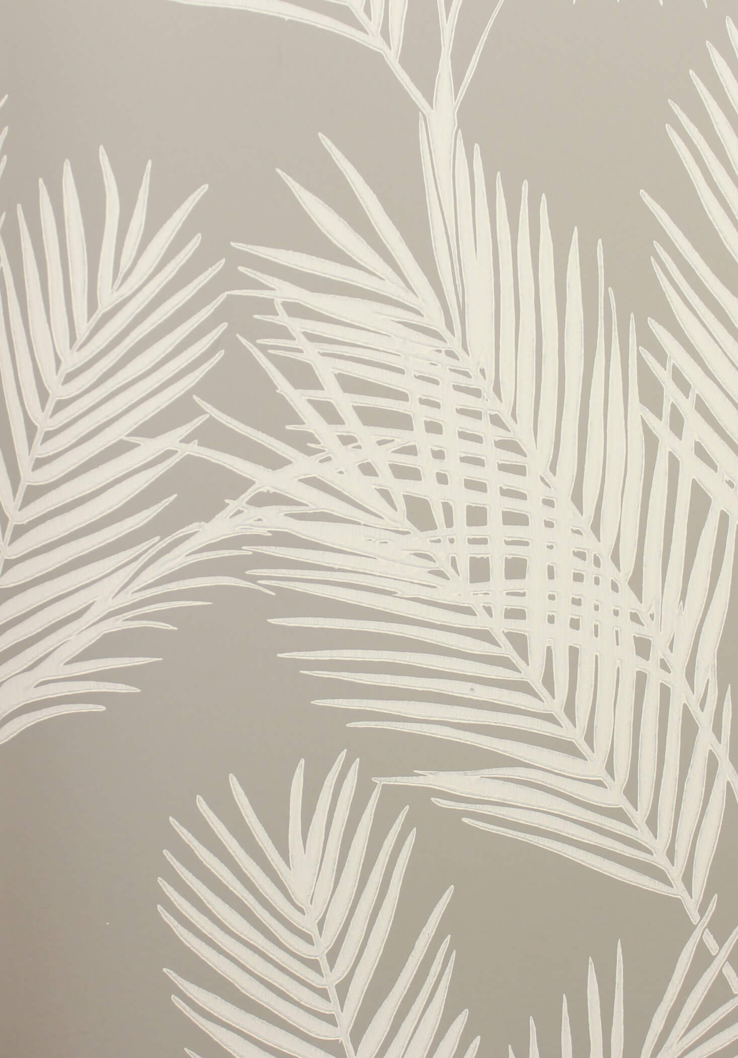 Tapeta Palma York CV4412 King Palm Silhouette Water's Edge