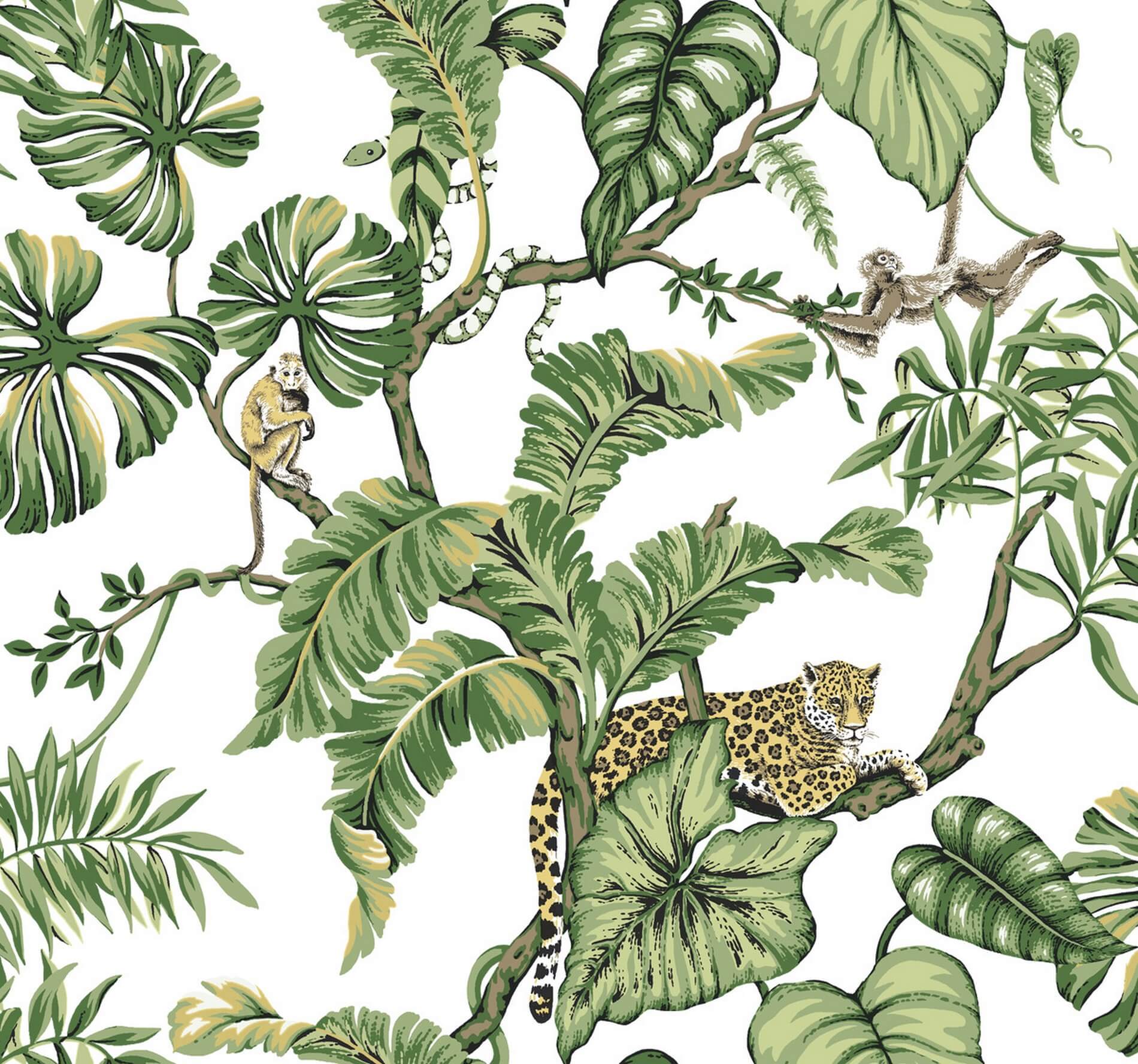 Tapeta Zwierzęta I Liście York HO2145 Jungle Cat Ronald Redding Traveler