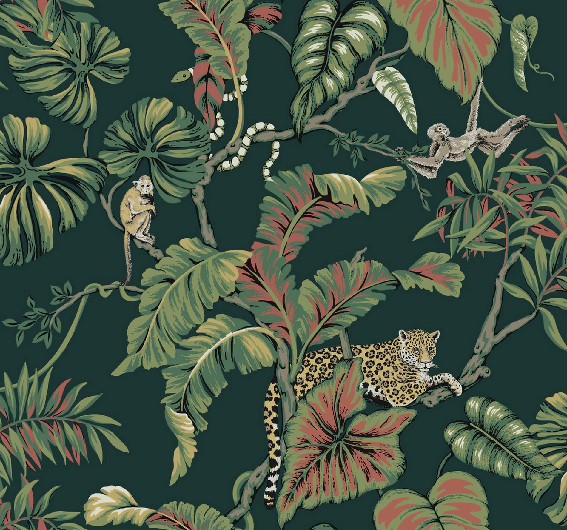 Tapeta Zwierzęta I Liście York HO2146 Jungle Cat Ronald Redding Traveler