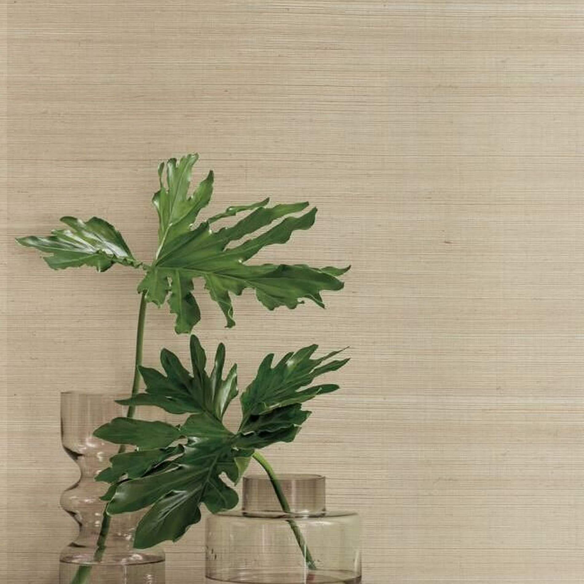 Tapeta York GC0700 Plain Sisal Tropics Resource Library