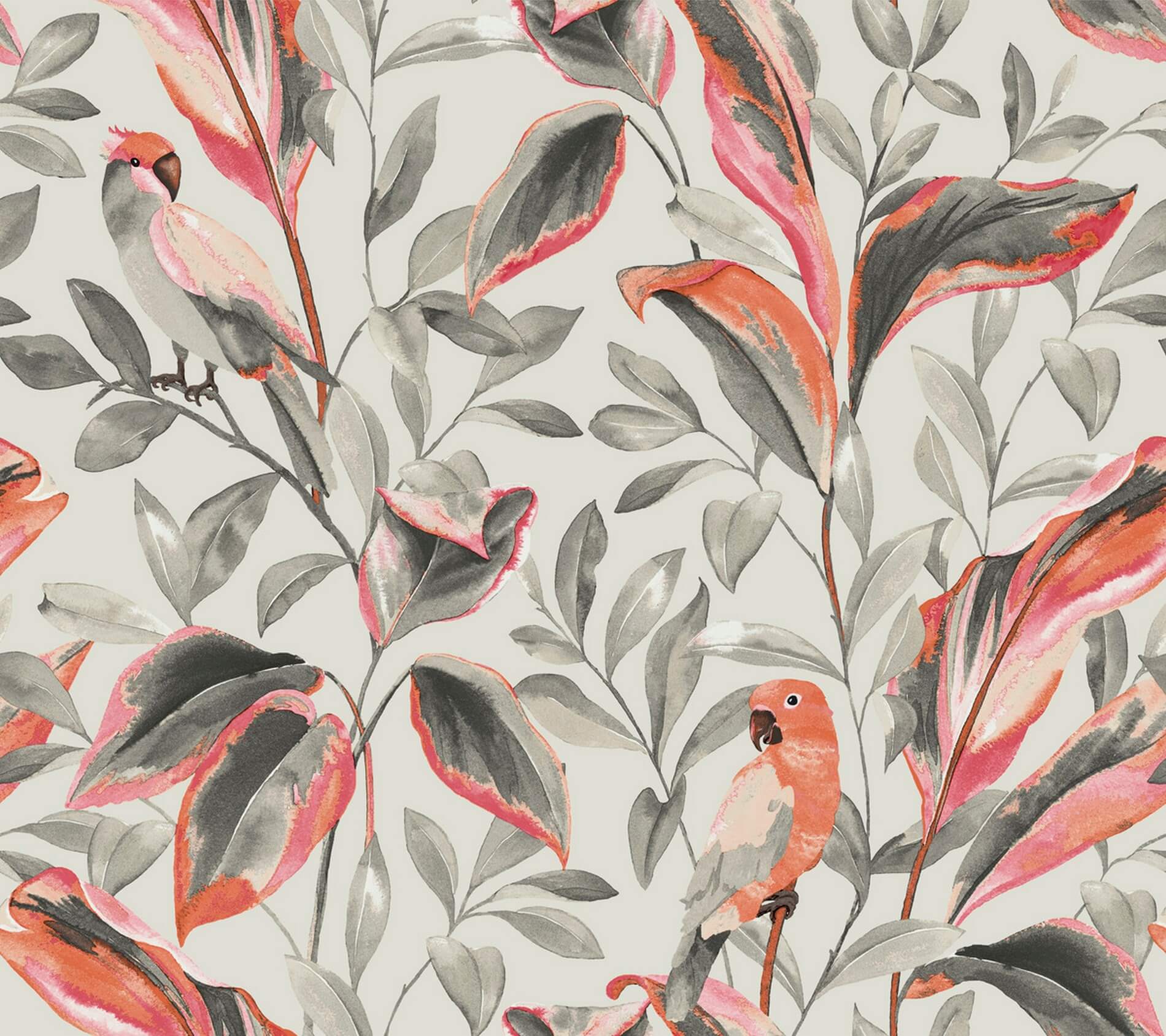 Tapeta Papugi I Liście York TC2652 Tropical Love Birds Tropics Resource Library
