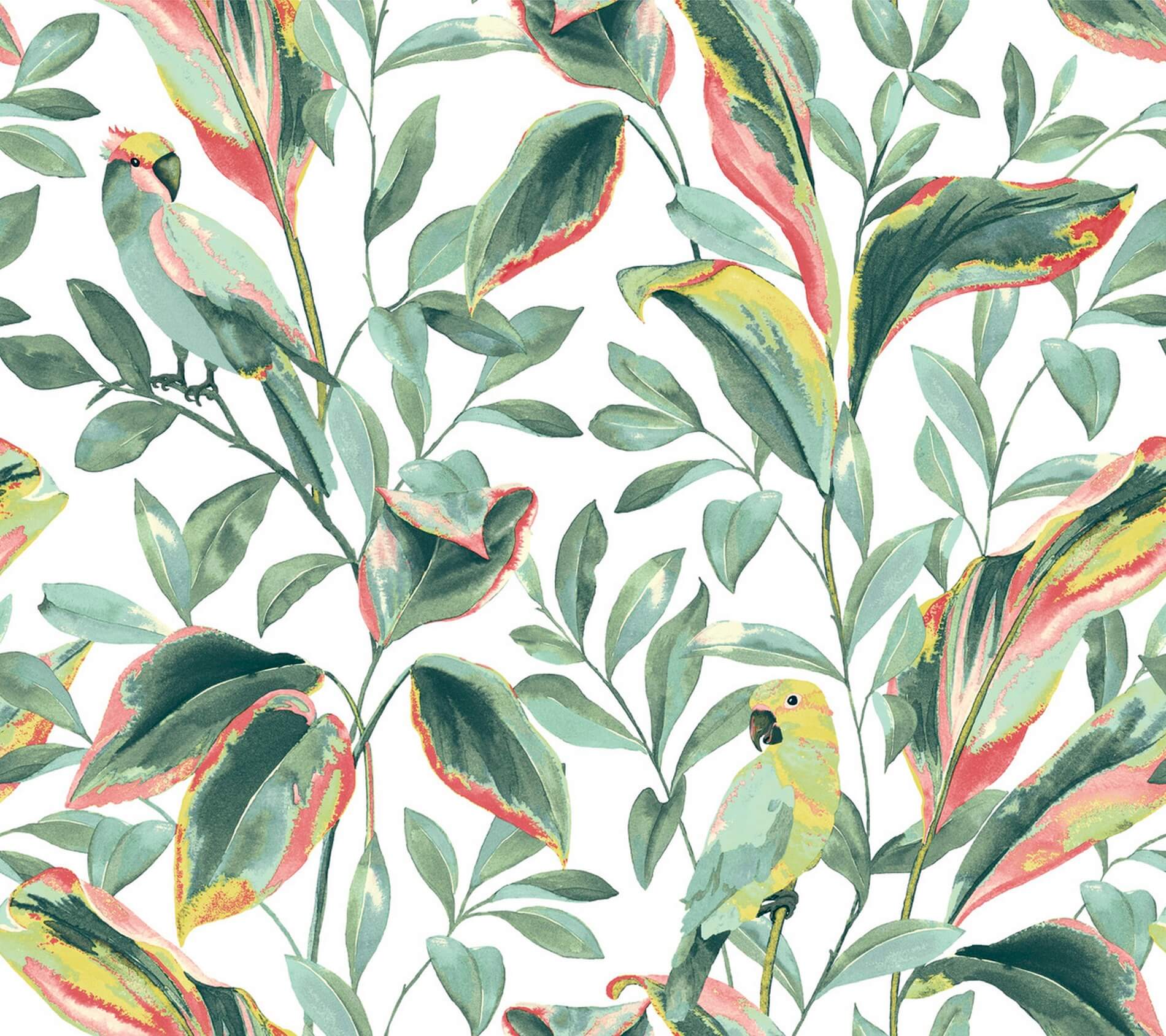 Tapeta Papugi I Liście York TC2653 Tropical Love Birds Tropics Resource Library