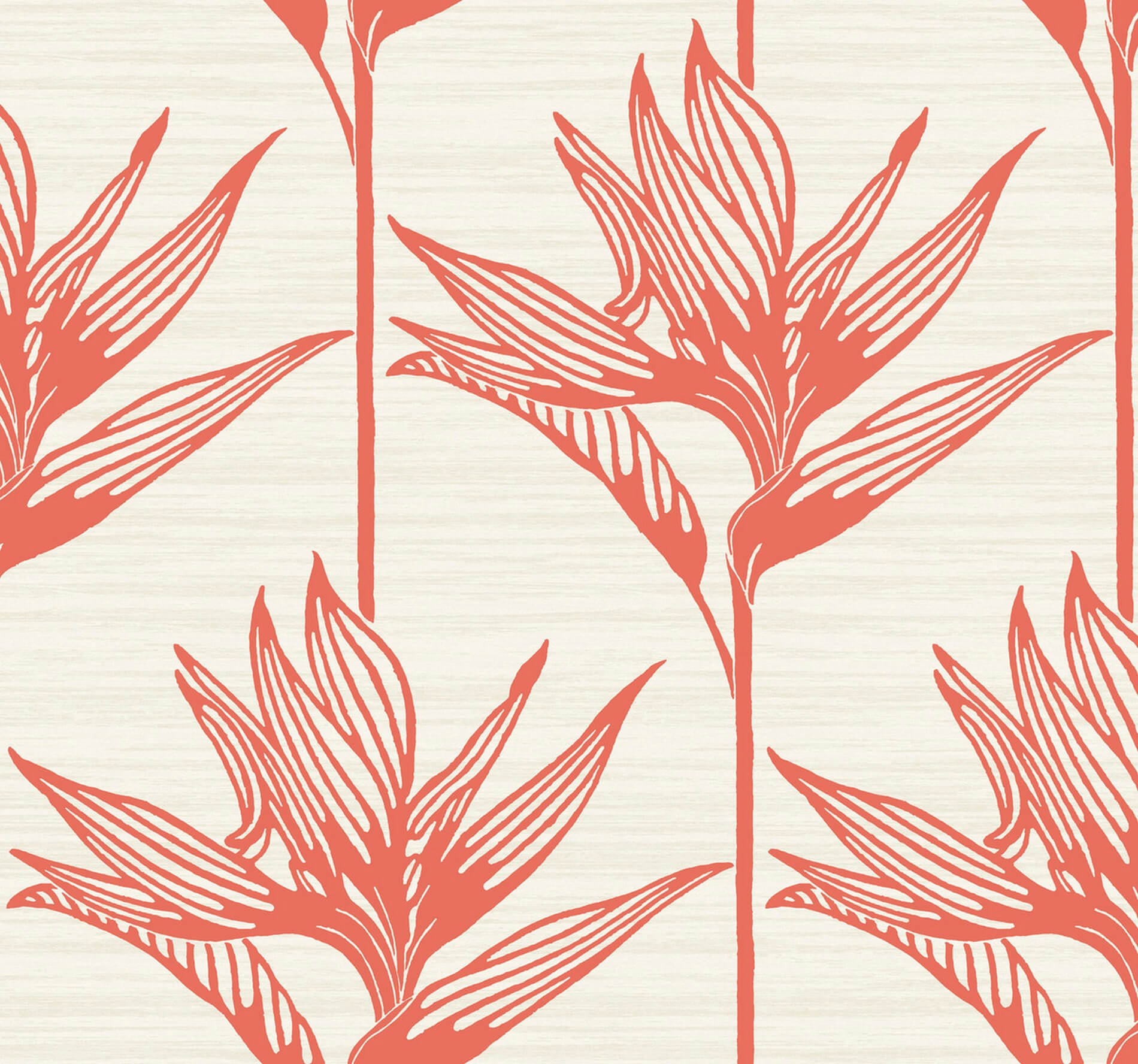 Tapeta Liście York TC2676 Bird Of Paradise Tropics Resource Library
