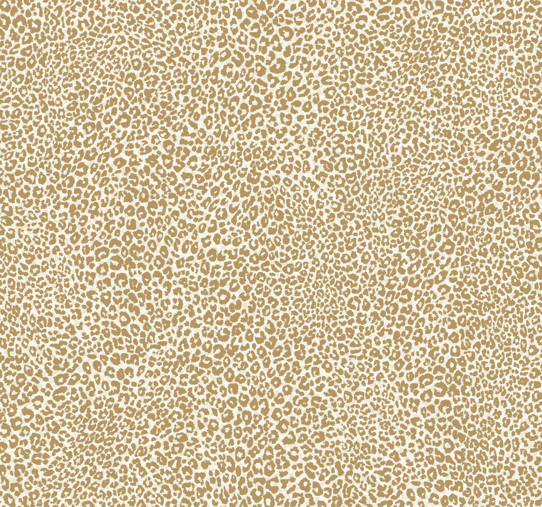 Tapeta Cętki York TC2681 Leopard King Tropics Resource Library