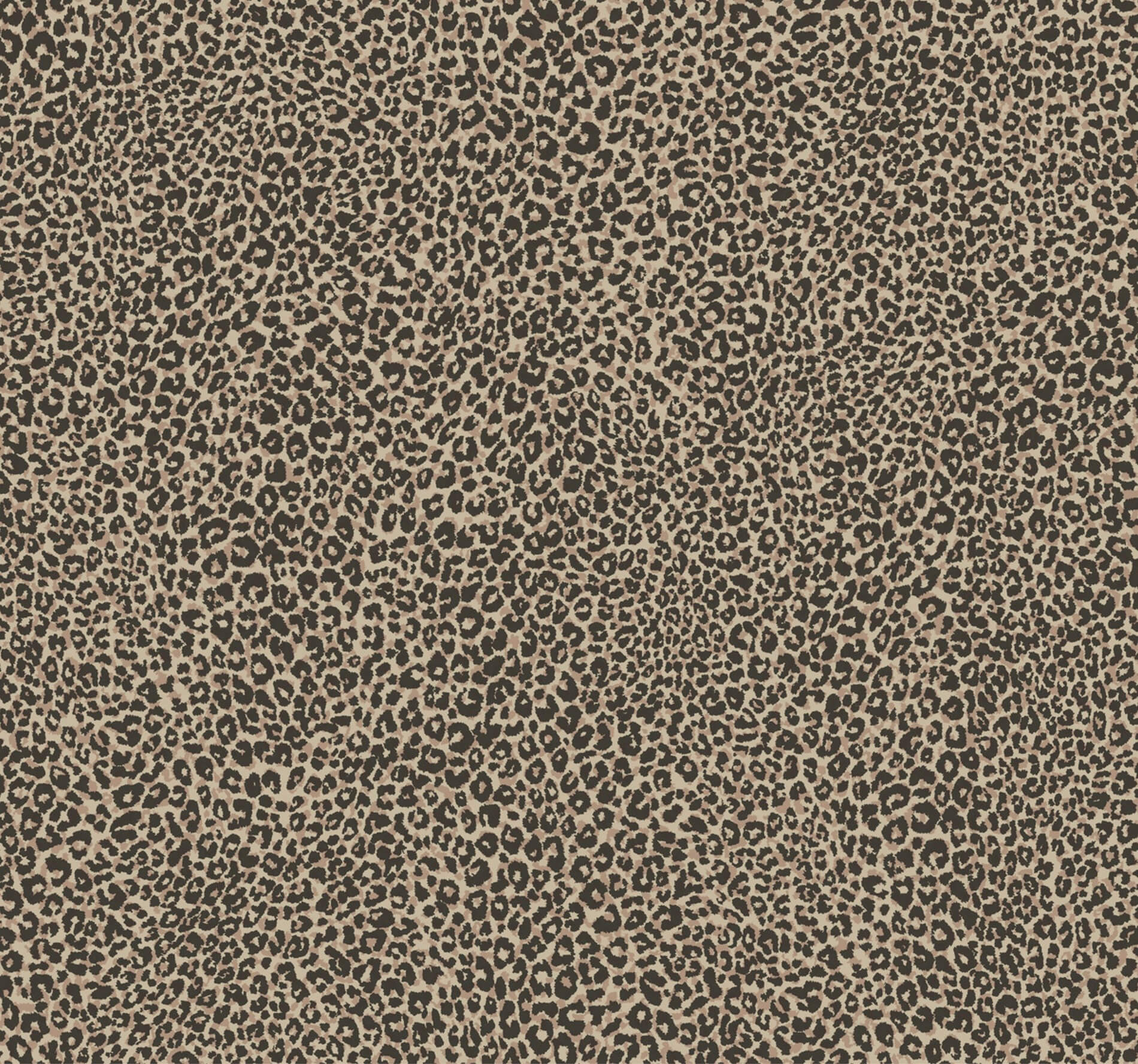 Tapeta Cętki York TC2684 Leopard King Tropics Resource Library
