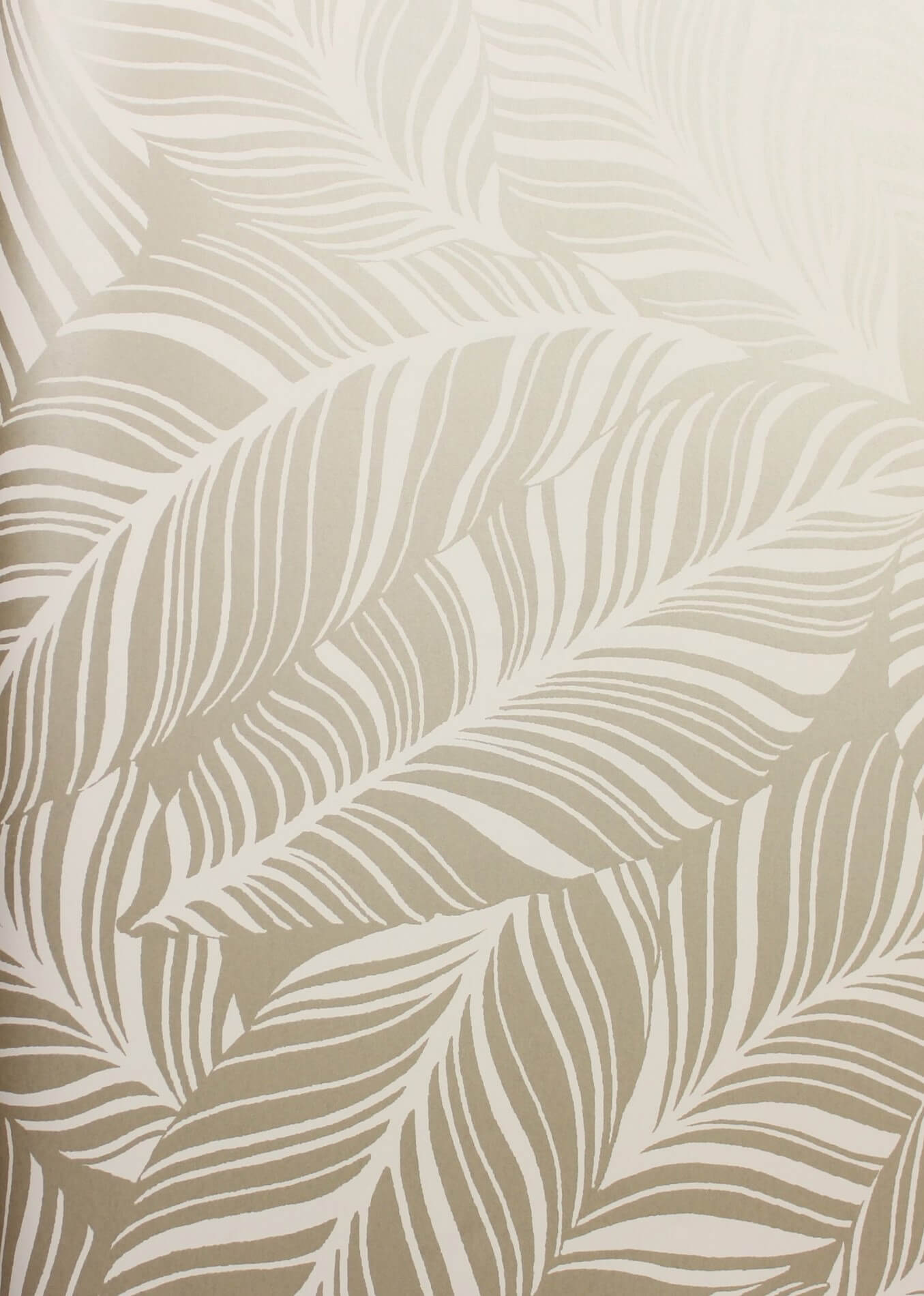 Tapeta Liście York TC2711 Rainforest Conopy Tropics Resource Library